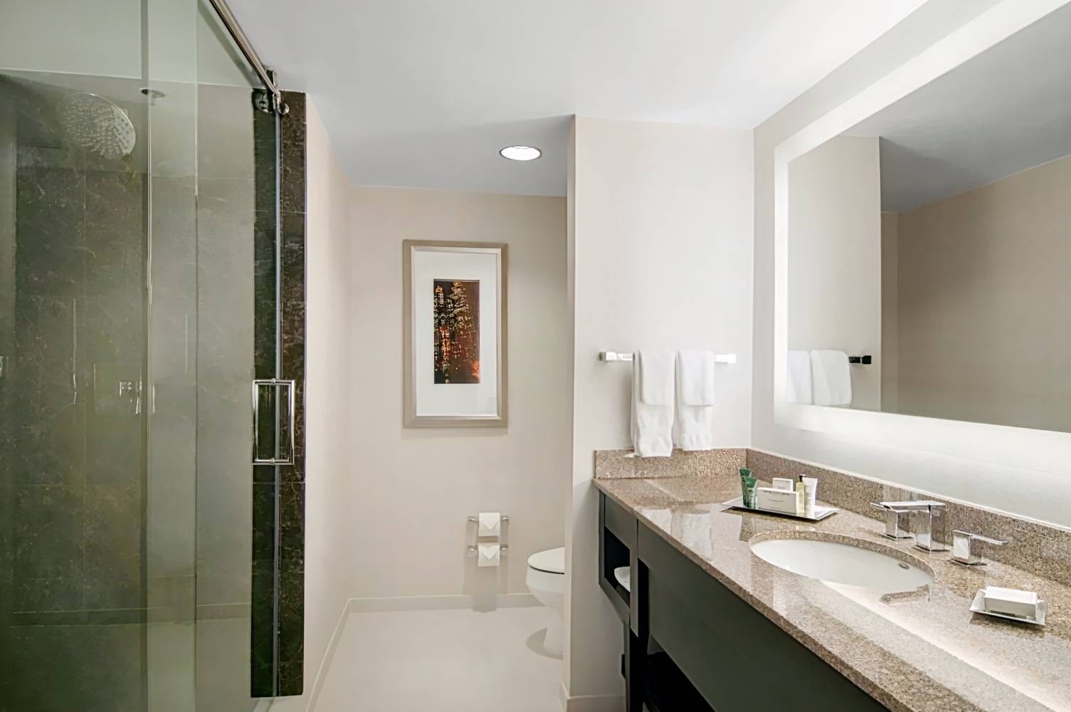 Hilton Atlanta Airport (inactive)