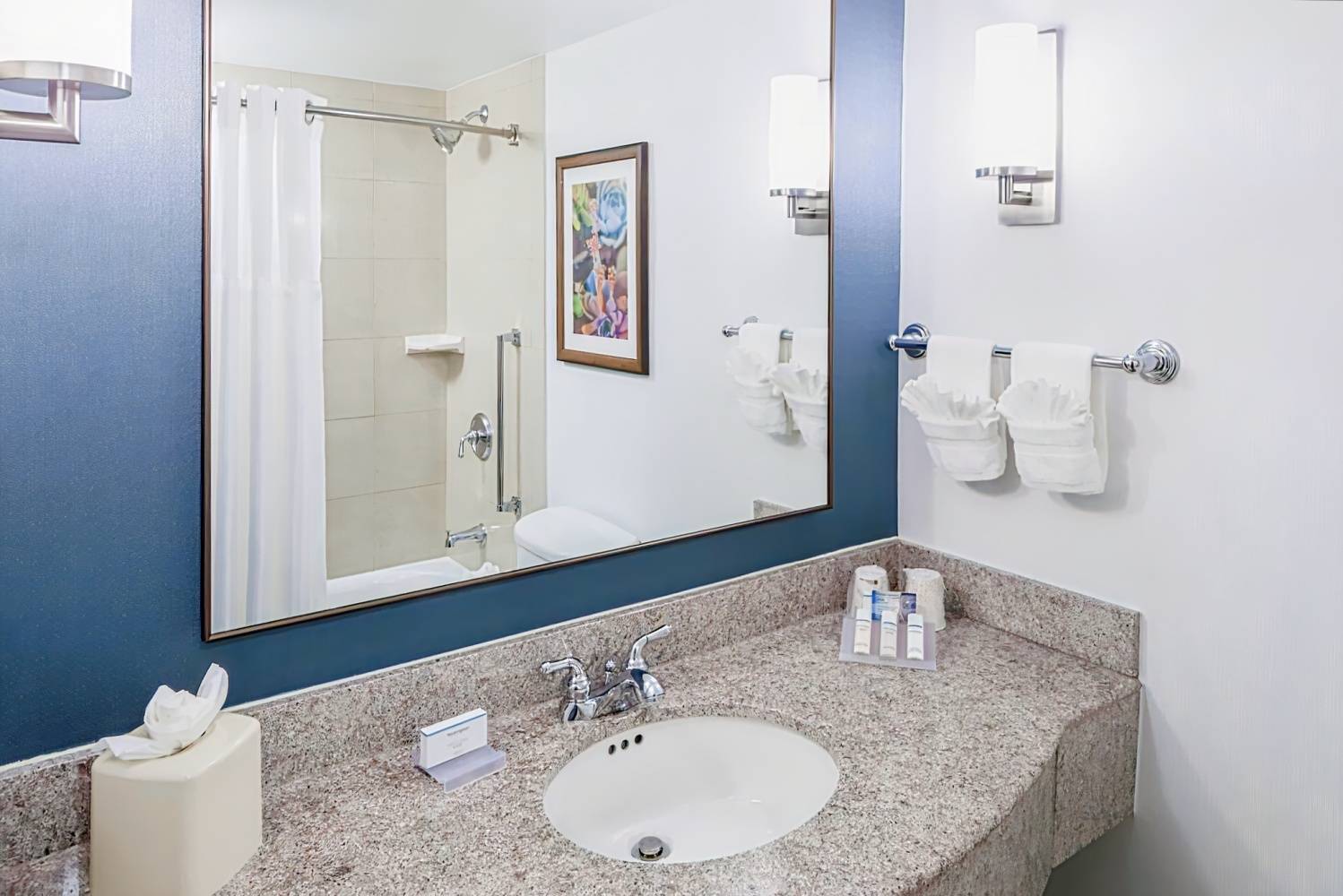 Hilton Garden Inn Dallas - Allen