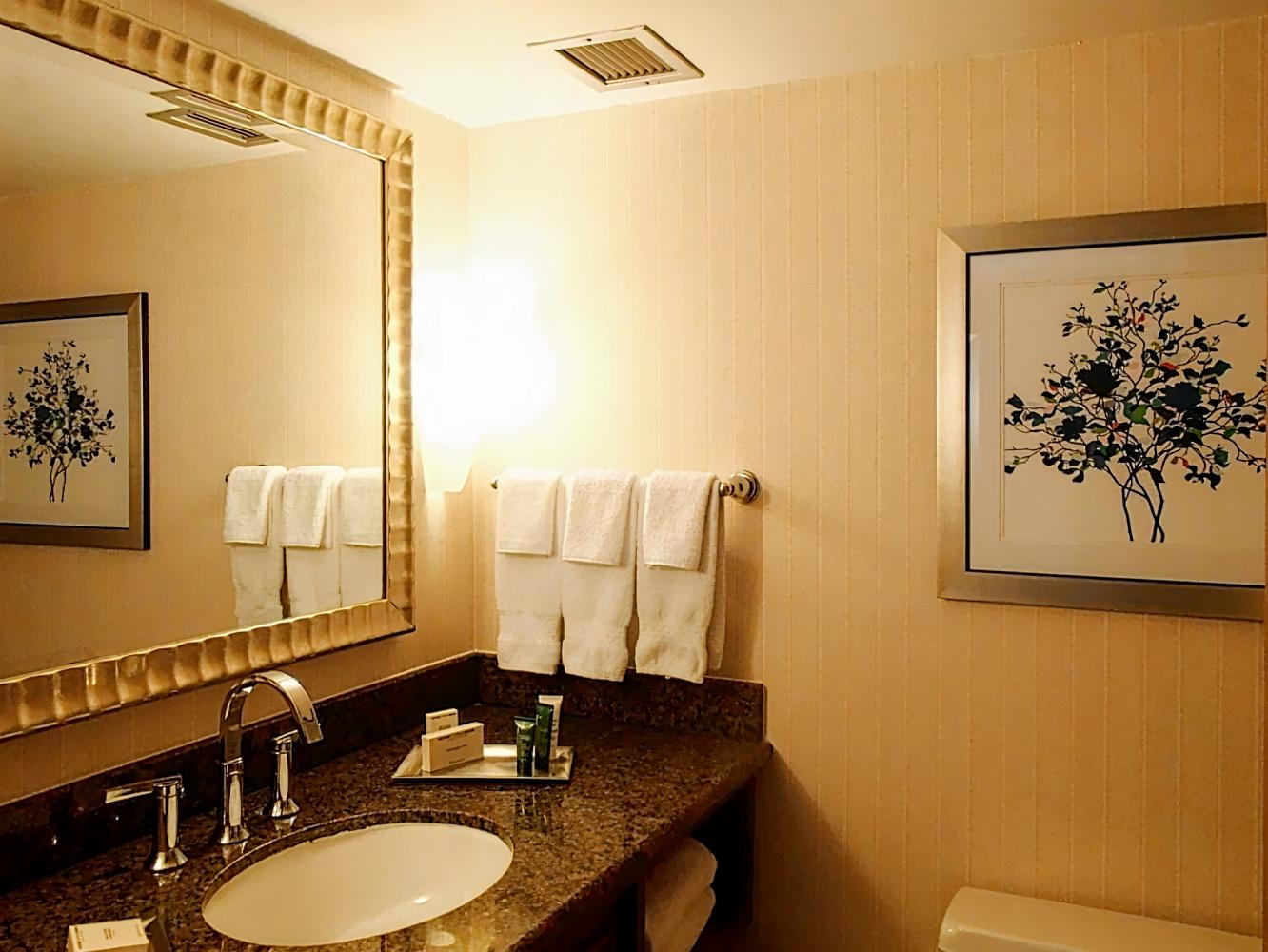 Hilton Arlington, TX