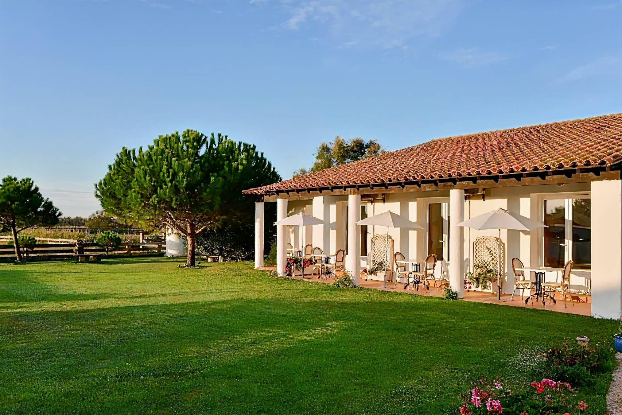 Hôtel Mas de la Grenouillere