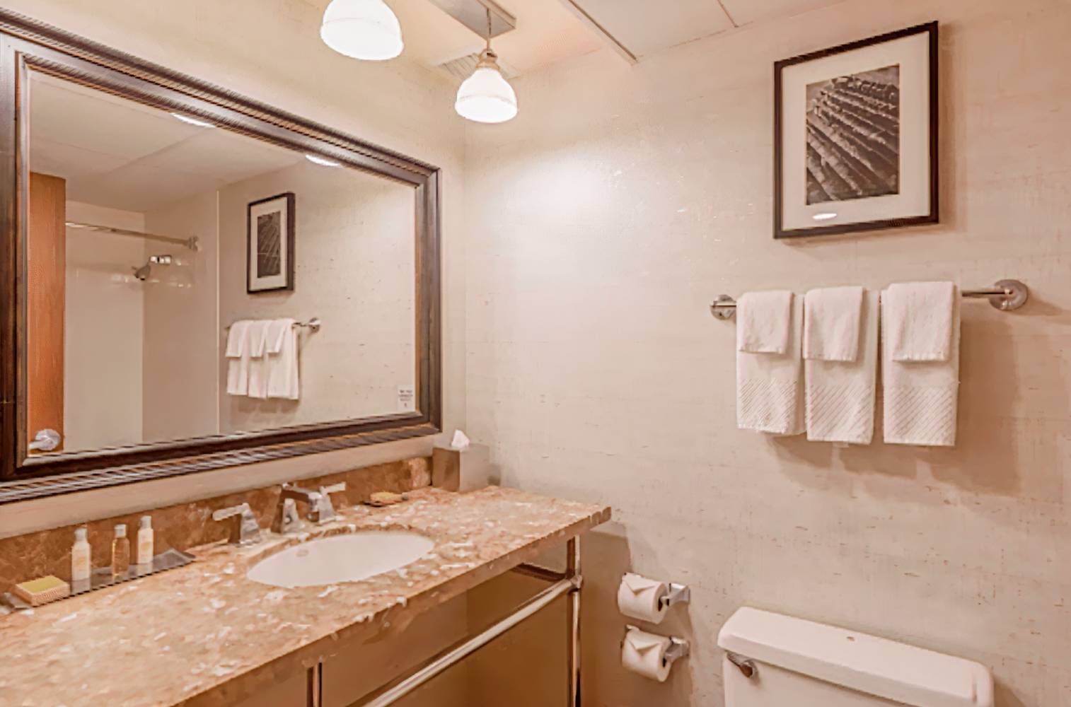 Doubletree by Hilton Hotel Bloomington-Minneapolis