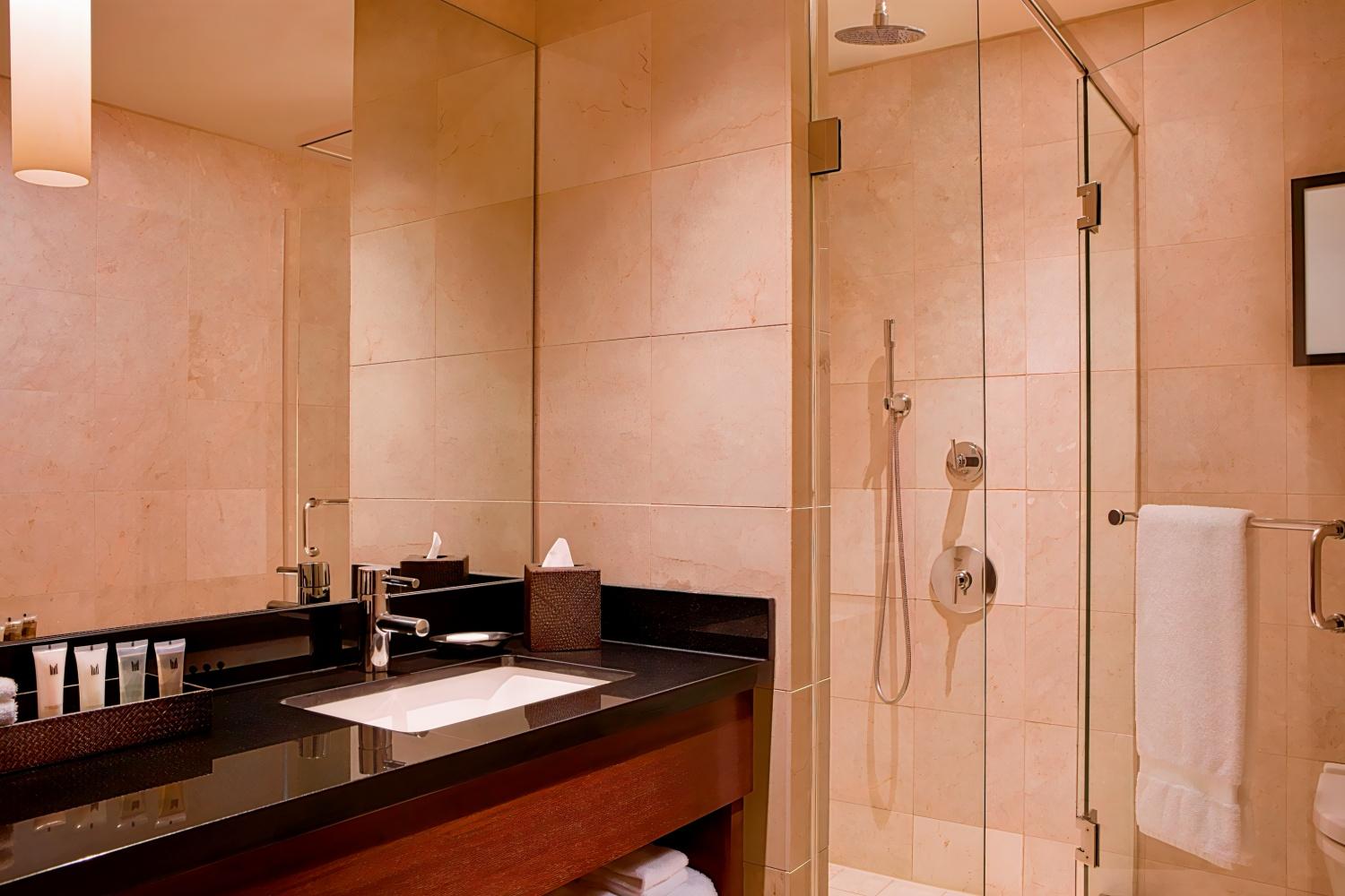 Millennium Knickerbocker Chicago