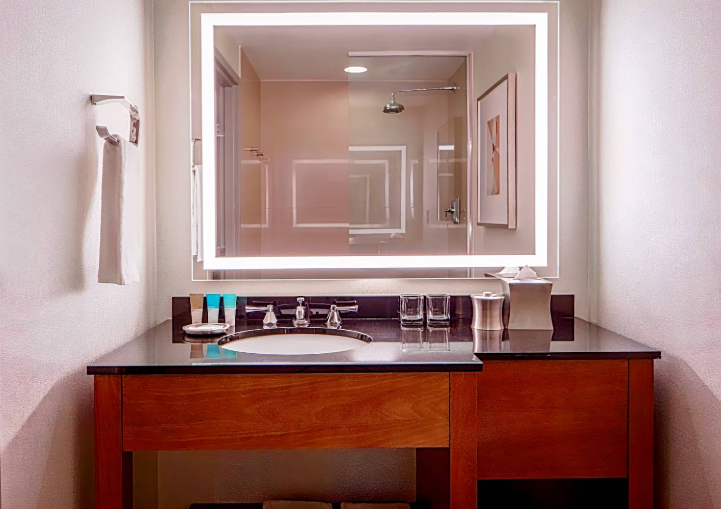 Hyatt Regency Crystal City At Reagan National Airport