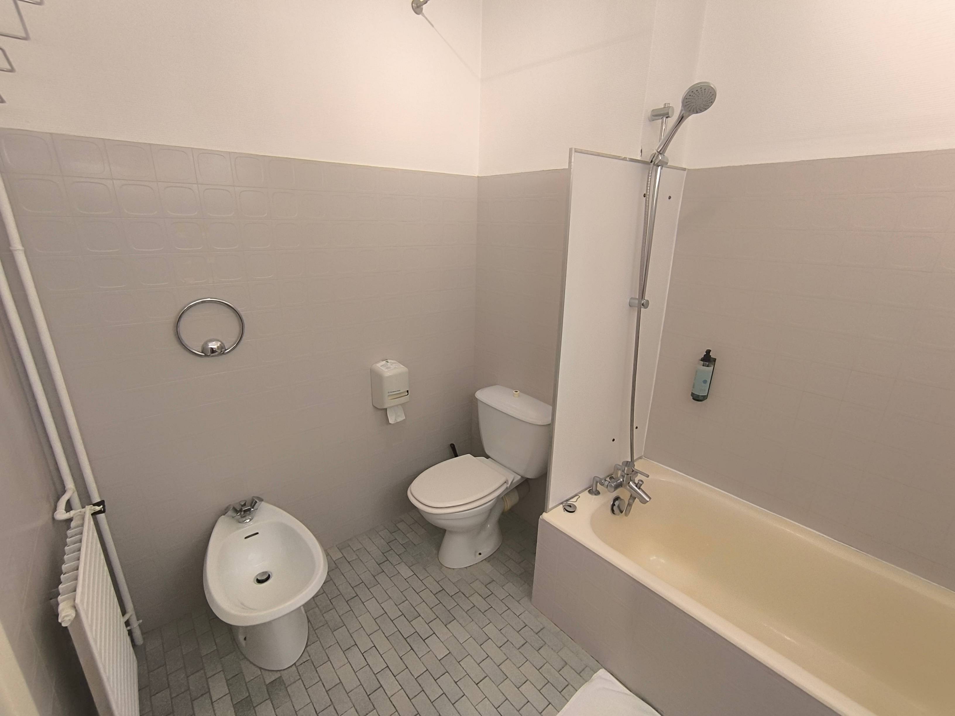 Adonis Lyon Est Artys Hotel