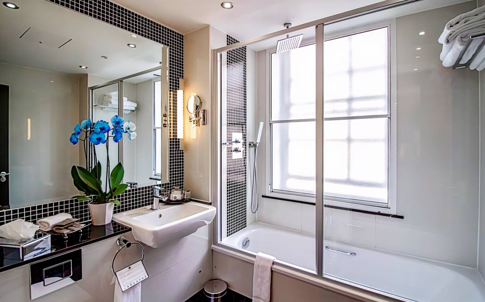 The Wellington by Blue Orchid Hospitality