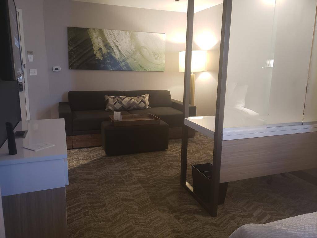 SpringHill Suites by Marriott Detroit Wixom