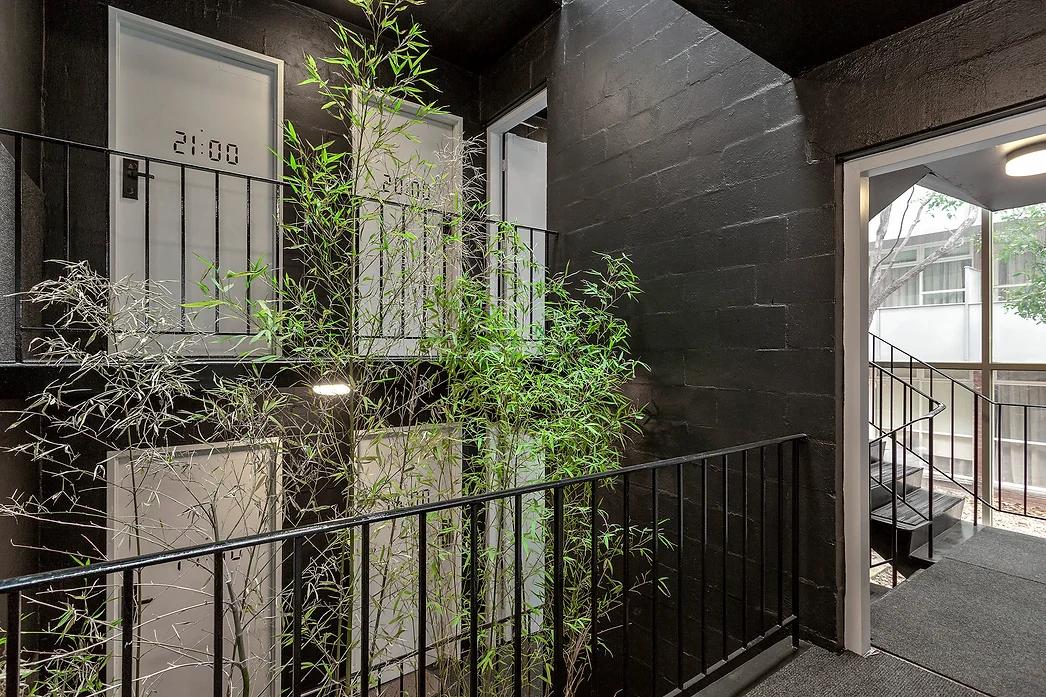 Davis Avenue Apartments