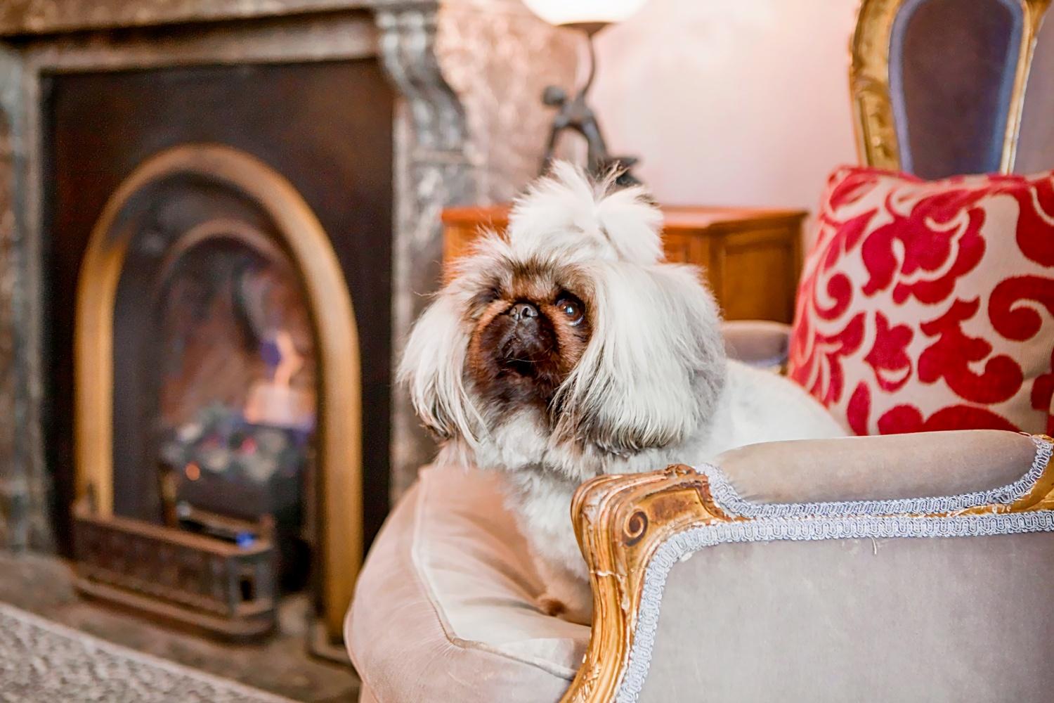 The Hughenden Boutique Hotel