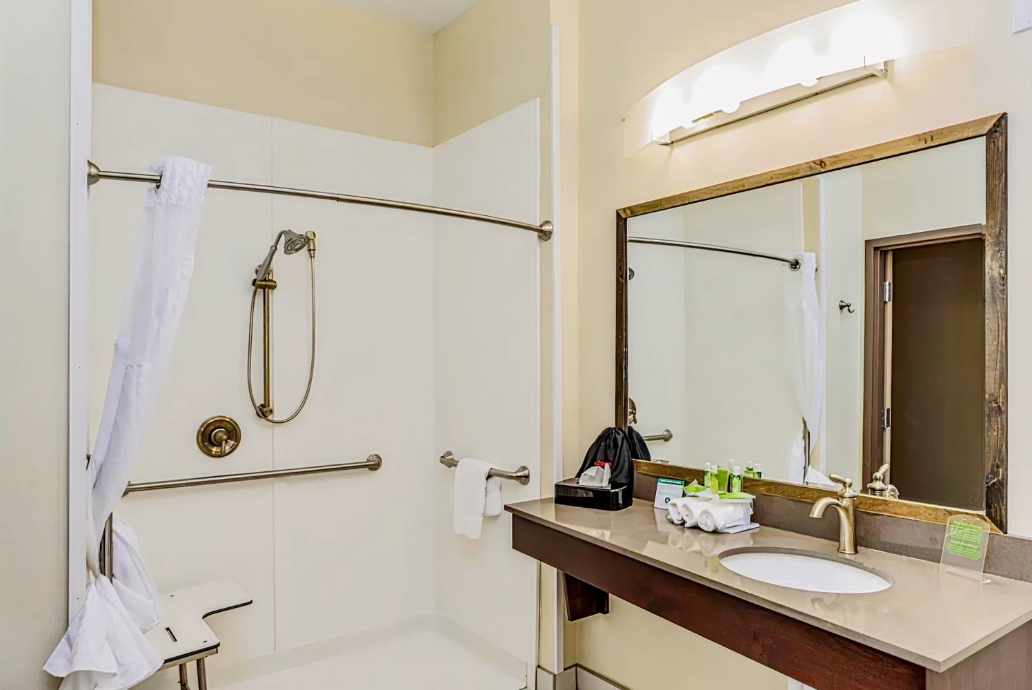 Holiday Inn Express & Suites Cheektowaga North East