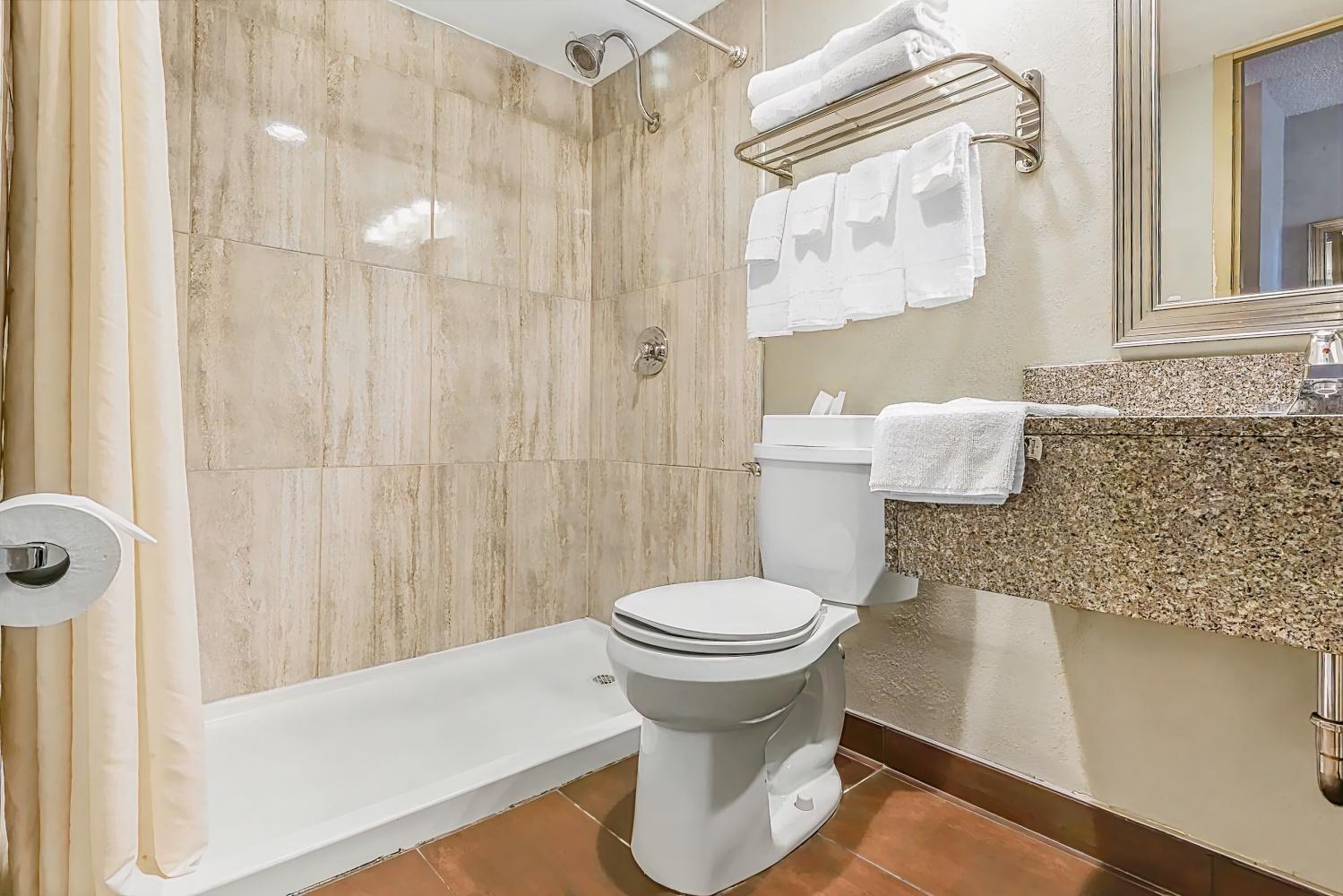 Quality Inn Buffalo/Hamburg