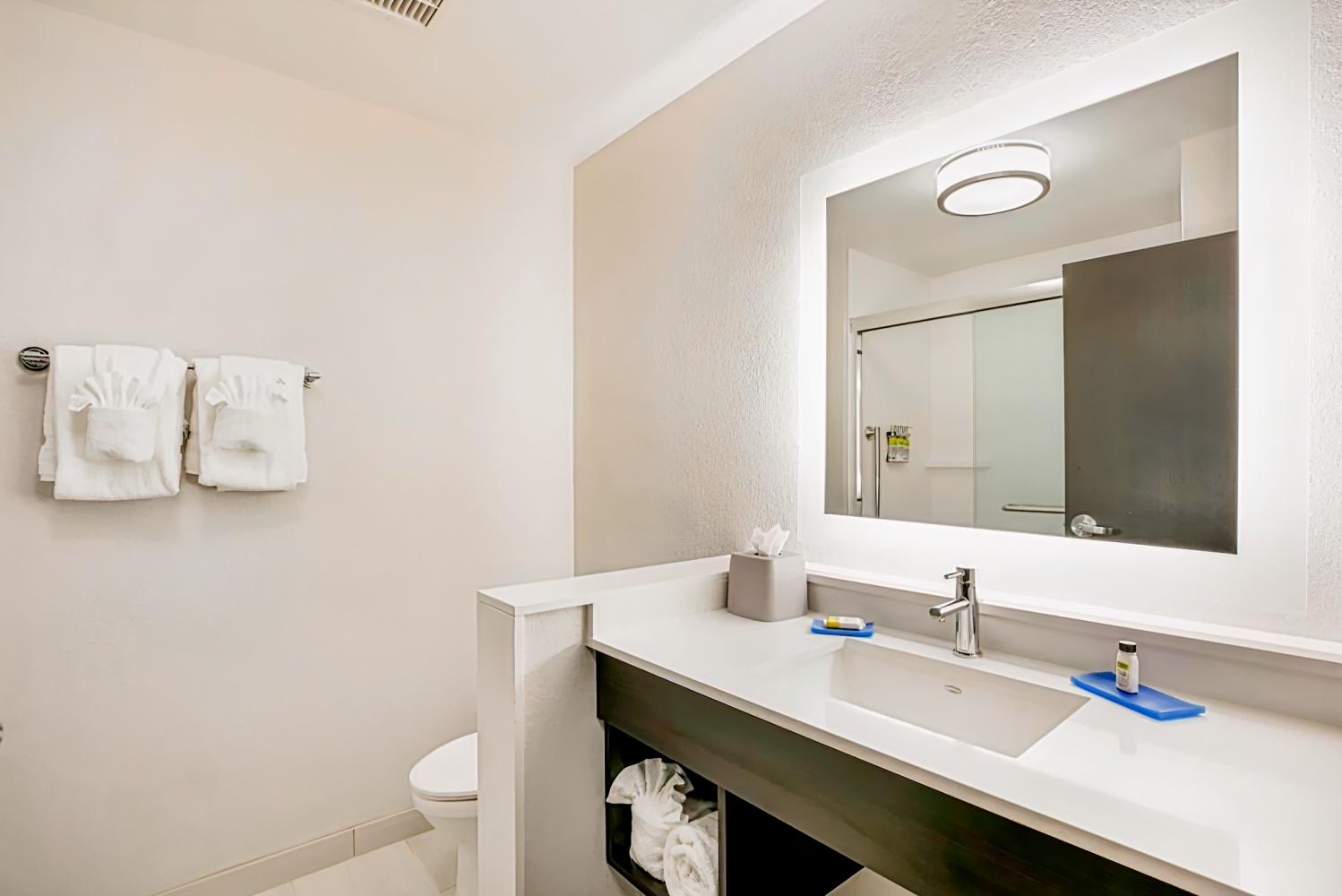 Holiday Inn Express & Suites - Jacksonville - Town Center