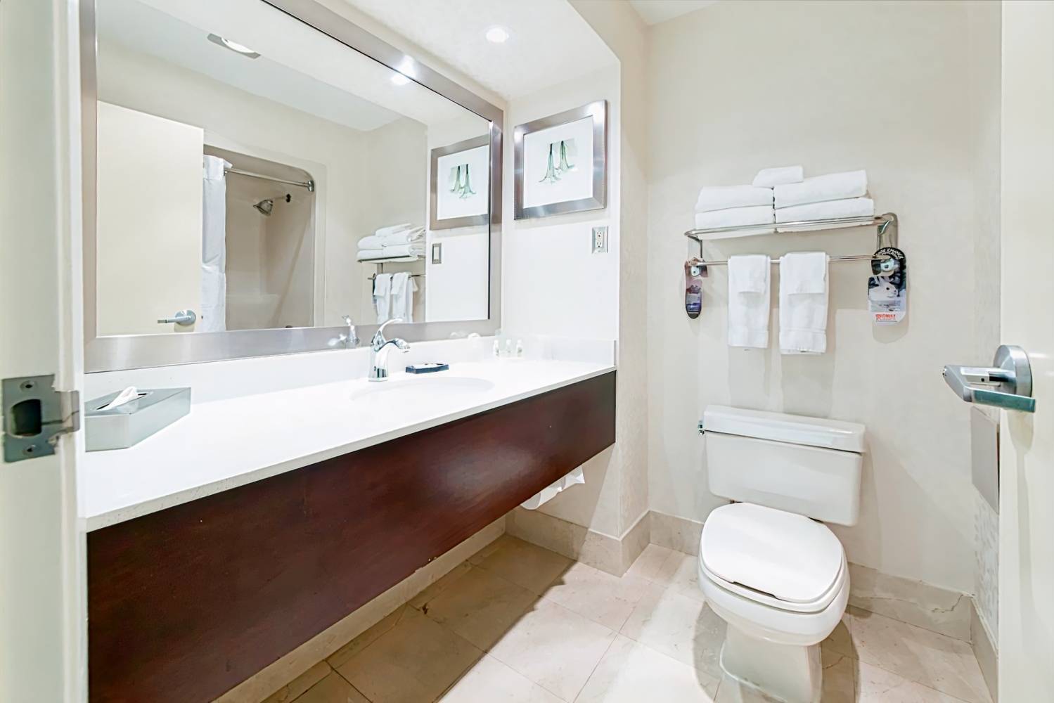 Holiday Inn & Suites Windsor – Ambassador Bridge