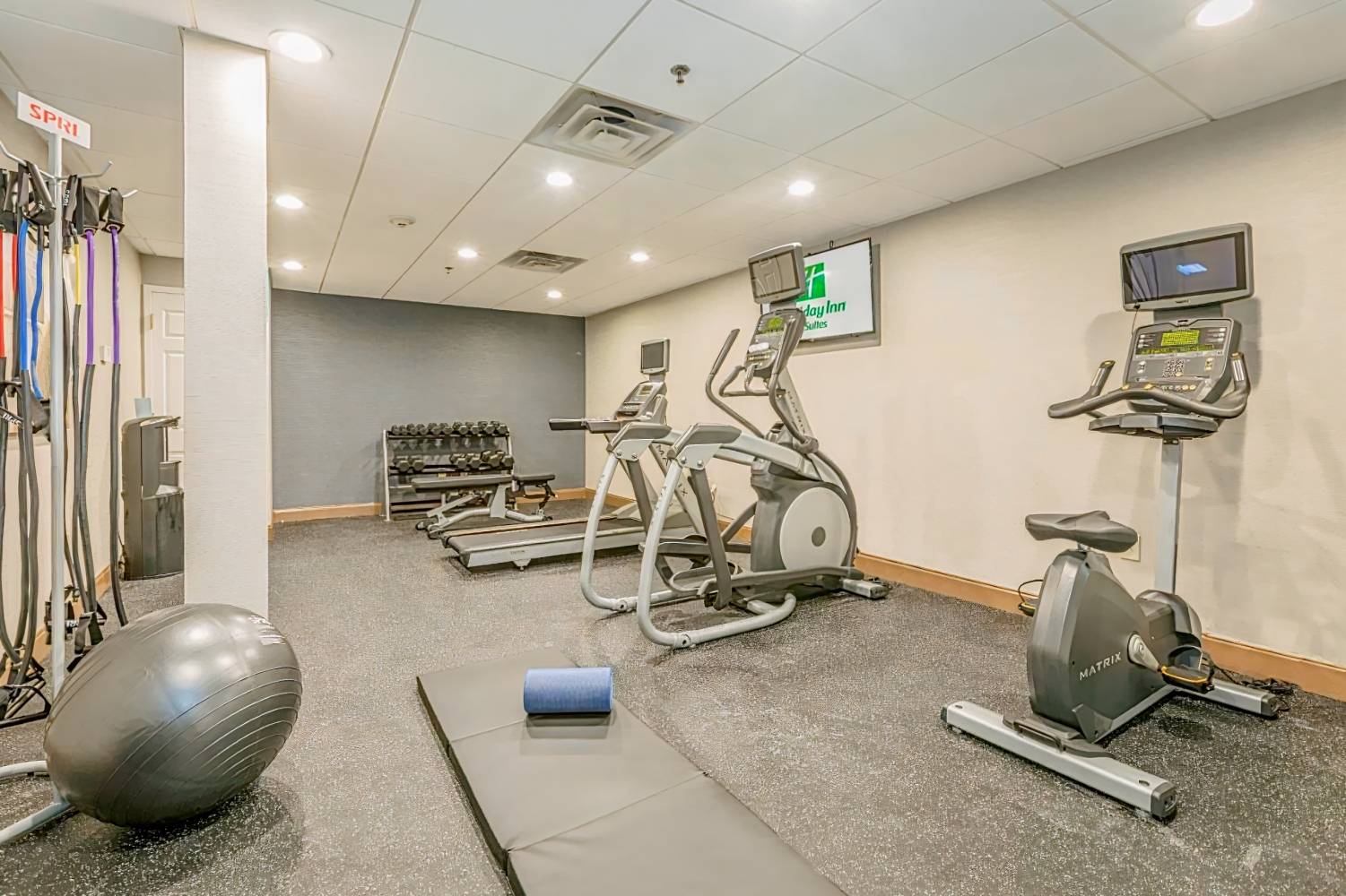 Holiday Inn & Suites Peachtree City