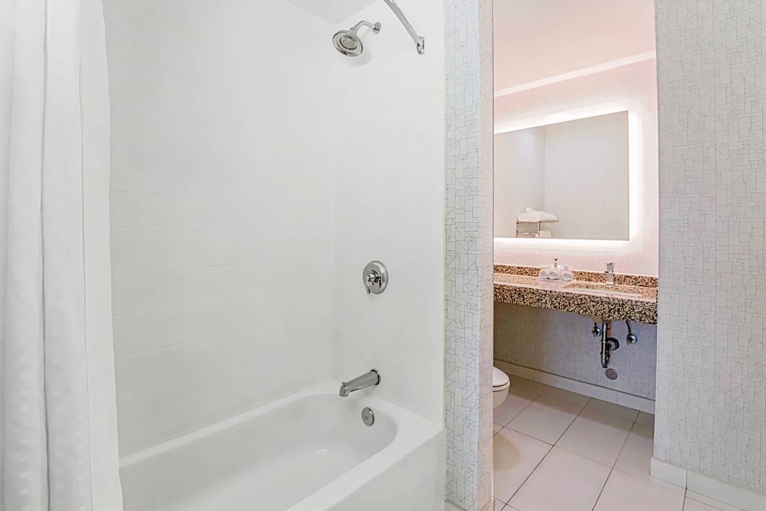 Holiday Inn Express Fort Worth Downtown