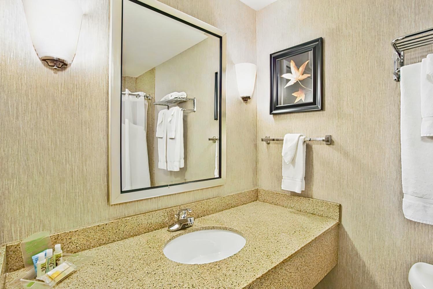 Holiday Inn Green Bay Stadium