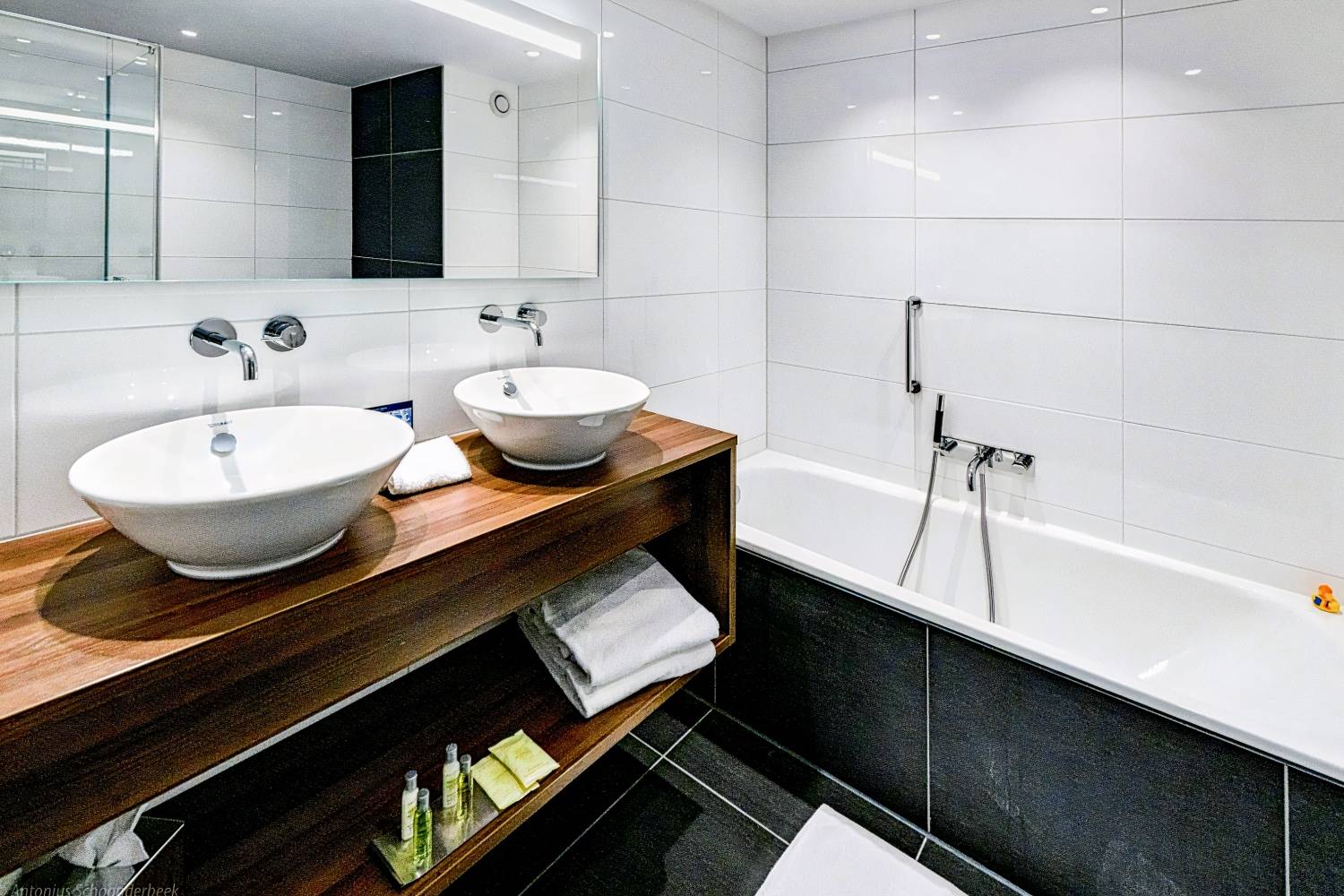 DoubleTree by Hilton Royal Parc Soestduinen