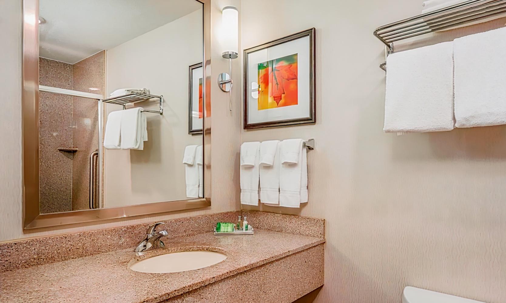 Holiday Inn Stevens Point - Convention Center