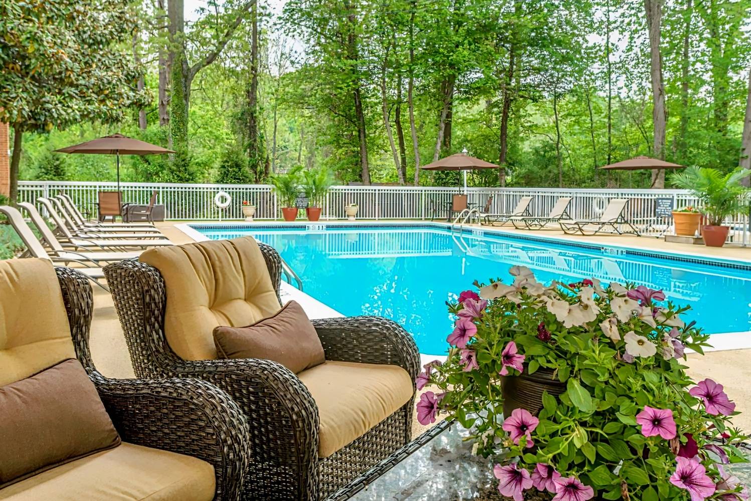 Holiday Inn Charlottesville-Monticello, an IHG Hotel