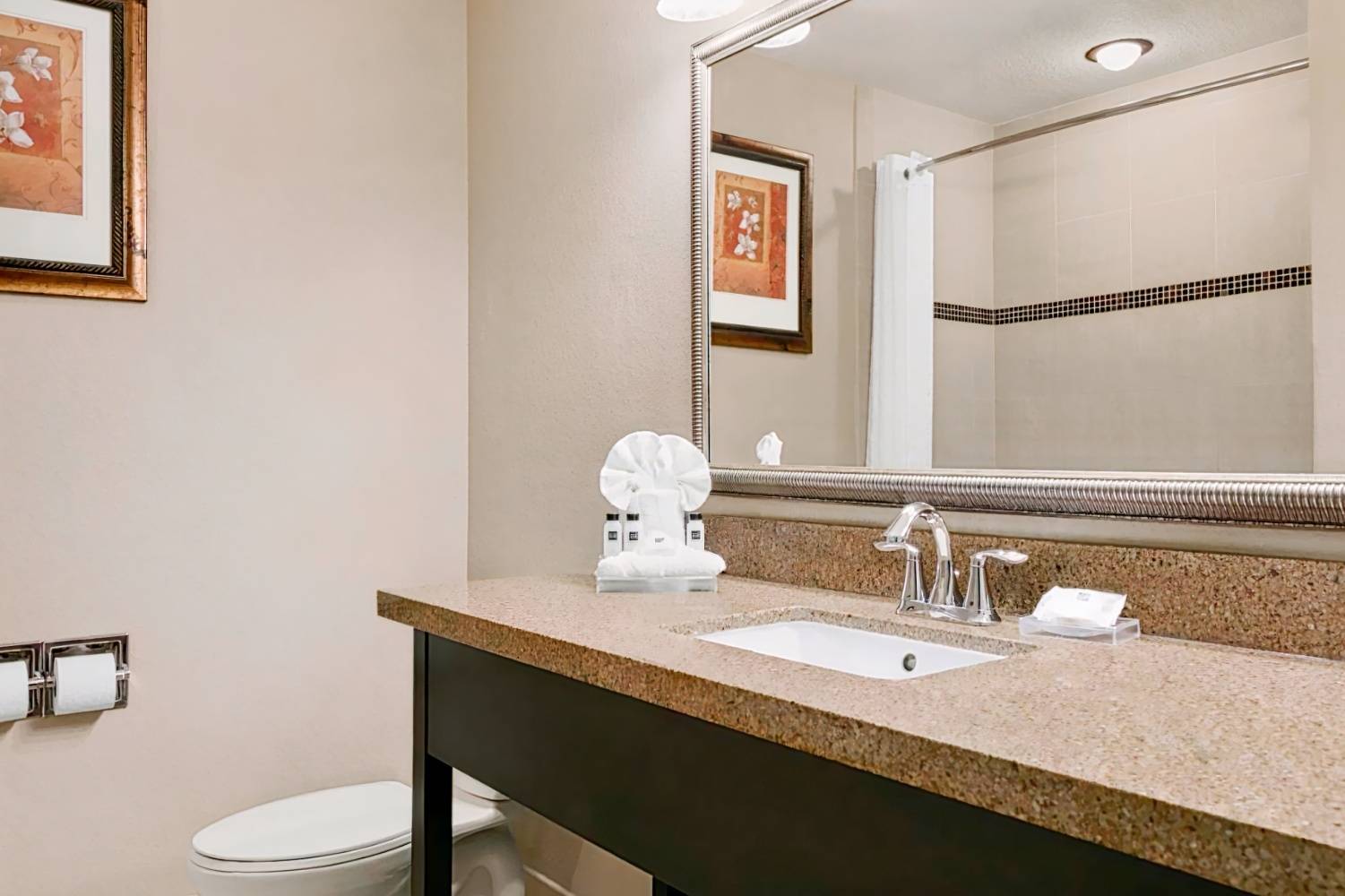 Country Inn & Suites by Radisson, Tampa Airport North