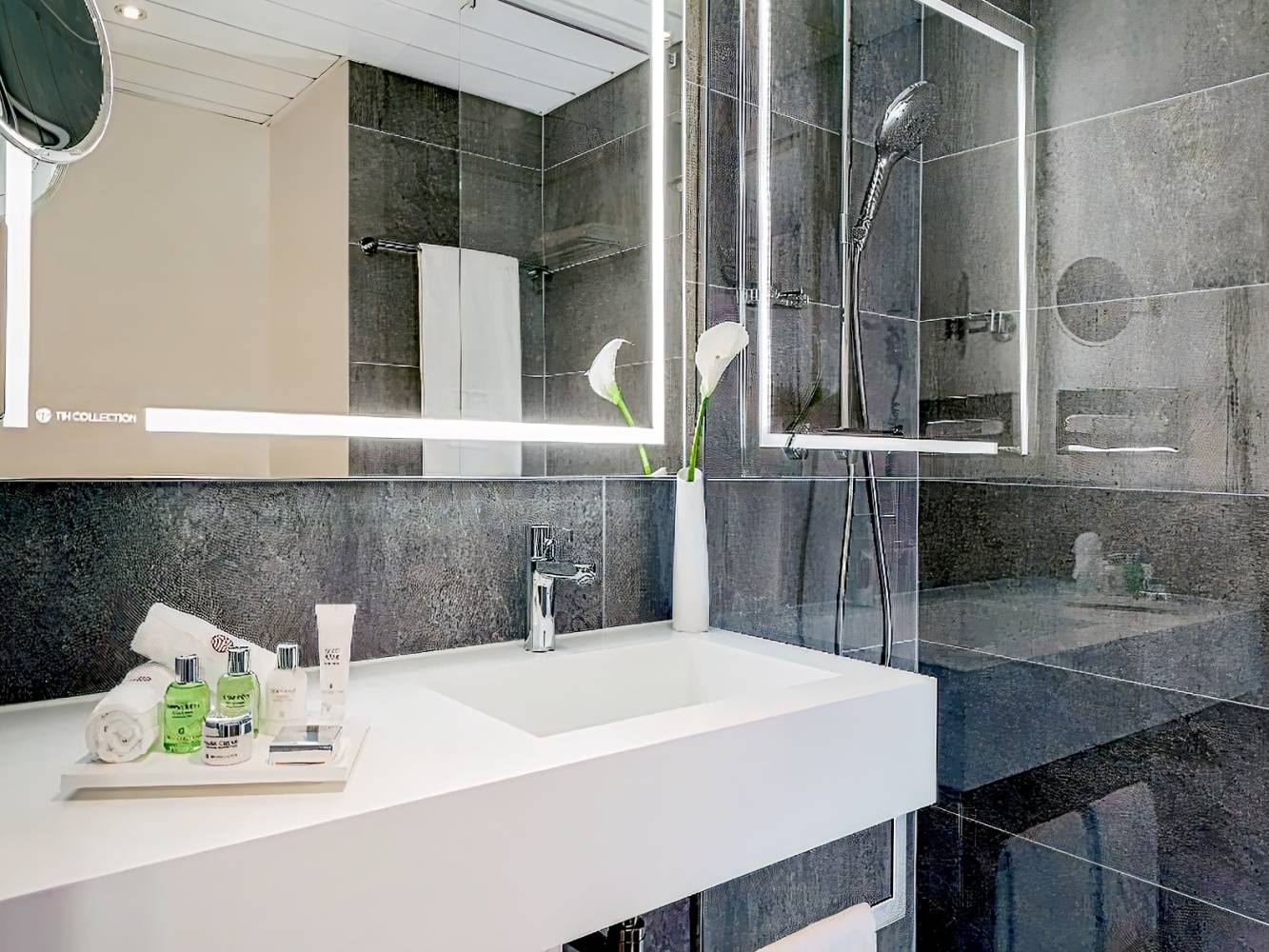 Avani Frankfurt City Hotel