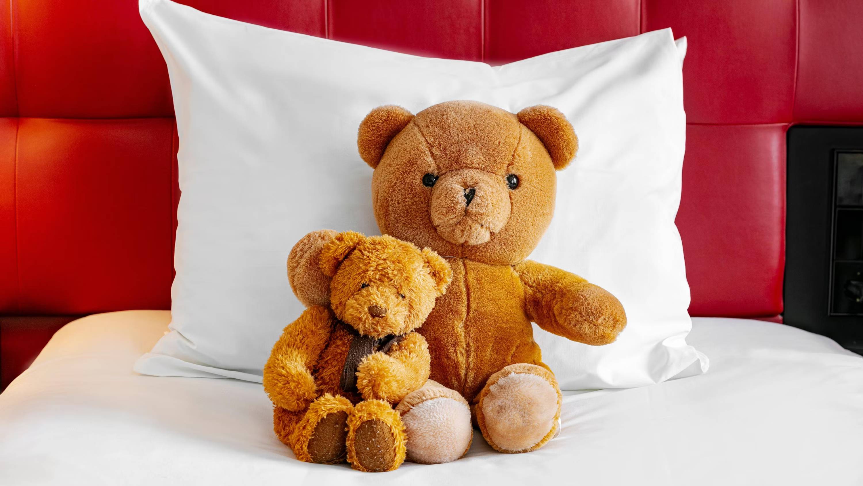 Crowne Plaza Amsterdam - South, an IHG Hotel