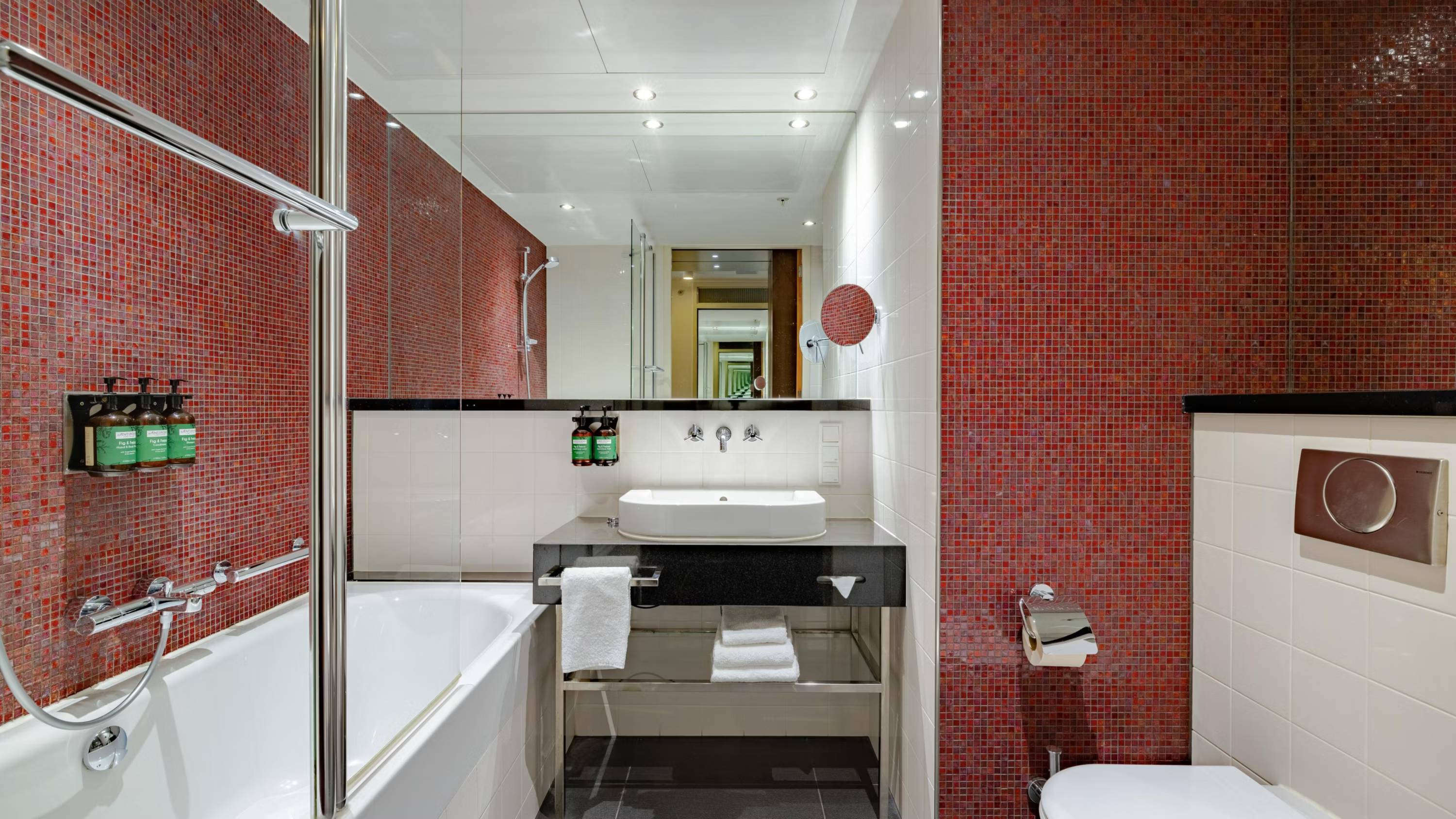 Crowne Plaza Amsterdam - South, an IHG Hotel