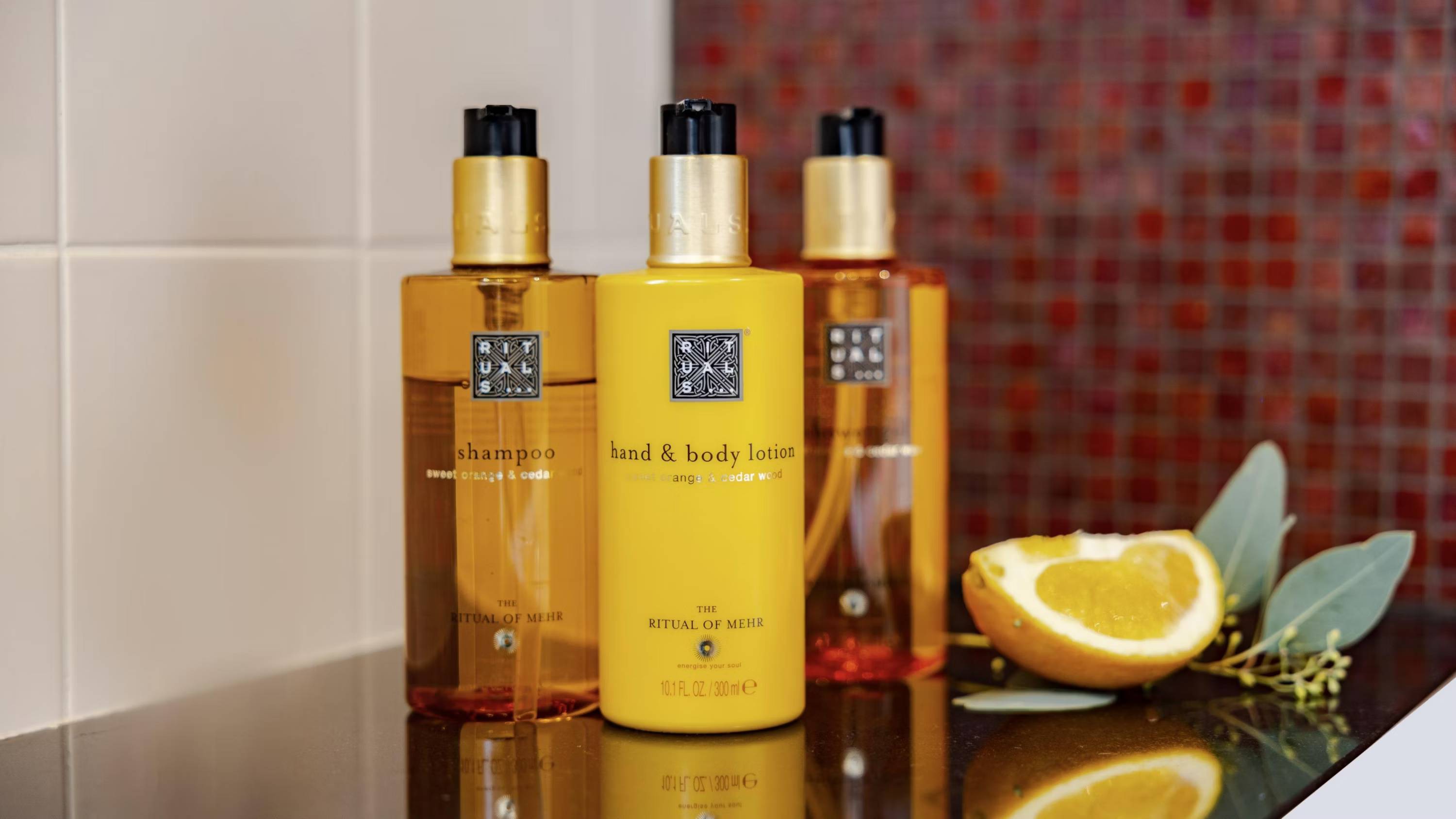 Crowne Plaza Amsterdam - South, an IHG Hotel