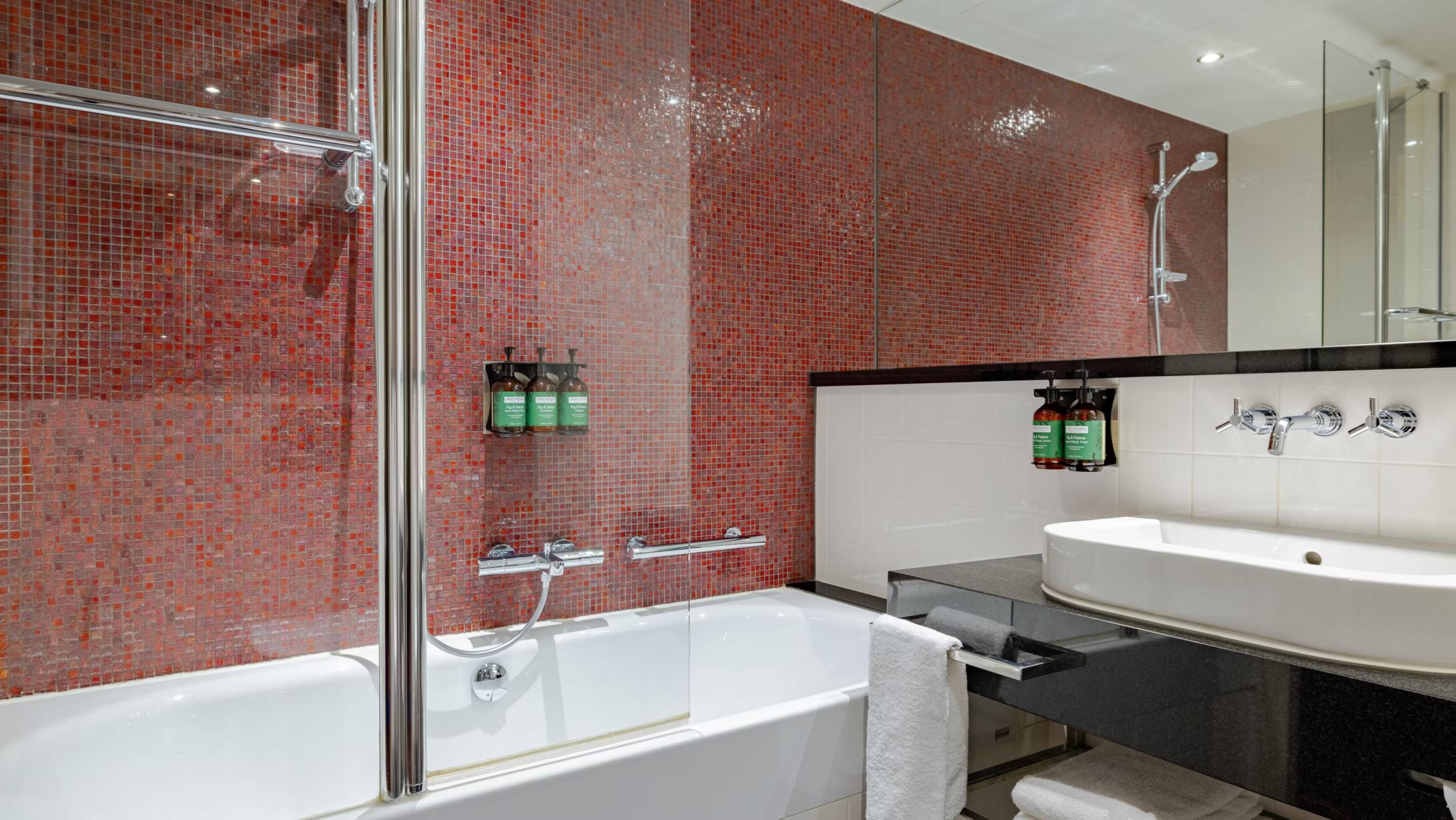 Crowne Plaza Amsterdam - South, an IHG Hotel