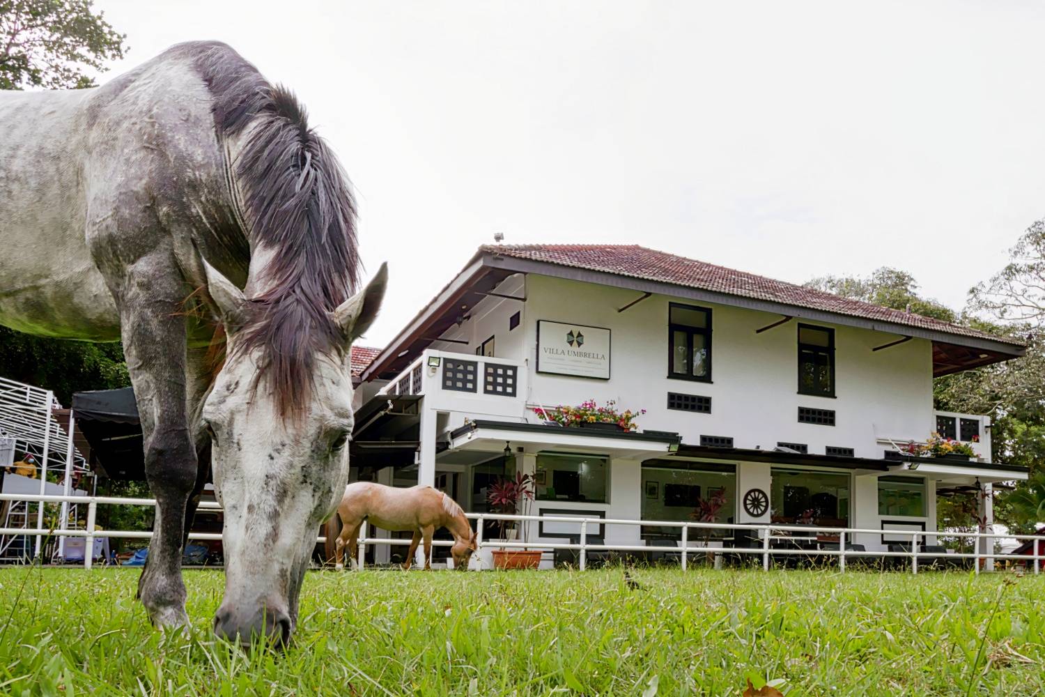 Villa Umbrella Singapore