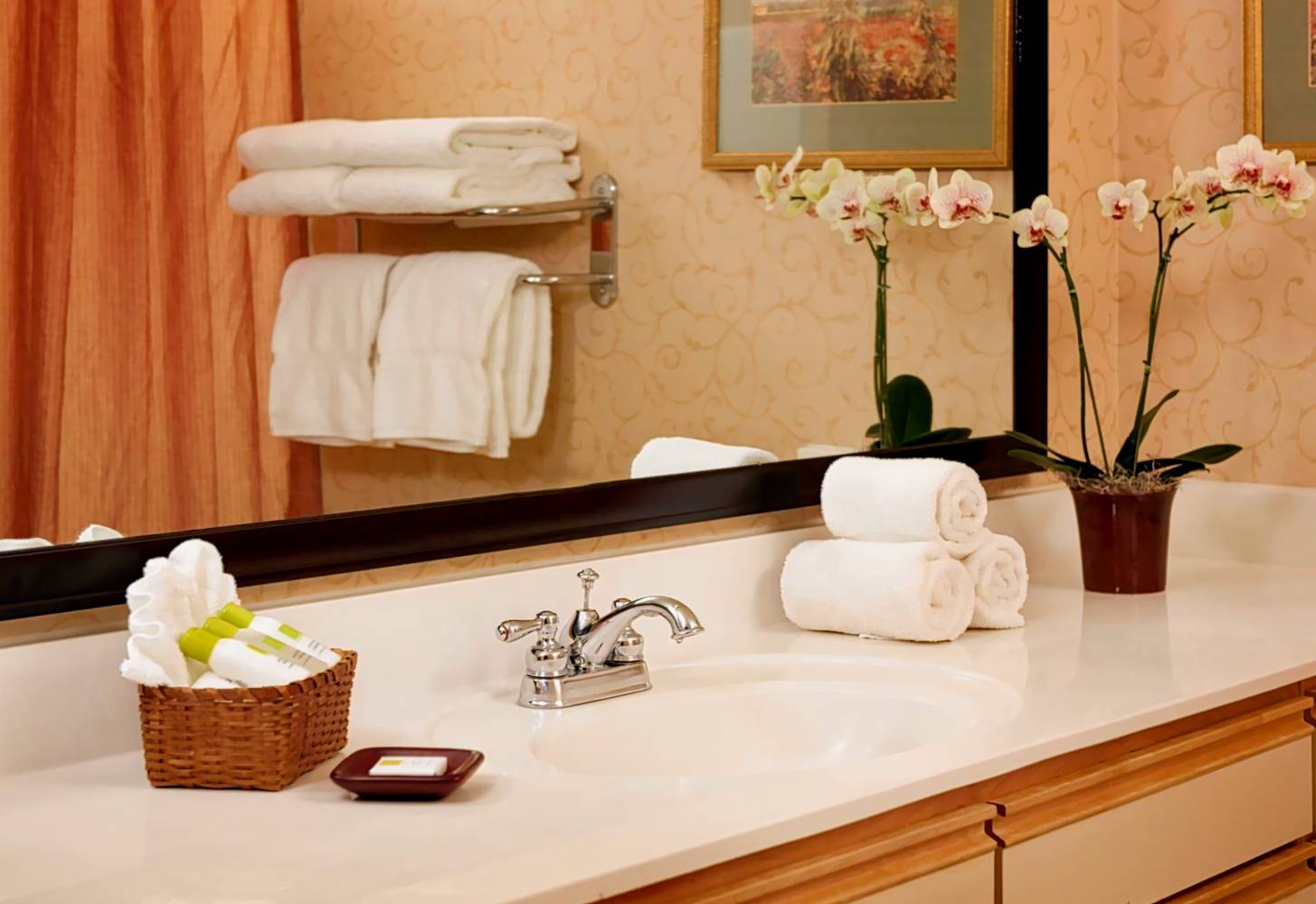 Larkspur Landing Campbell