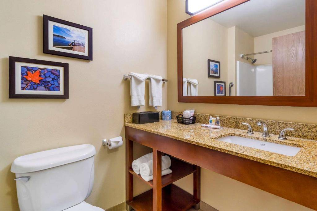 Comfort Inn Auburn – Seattle