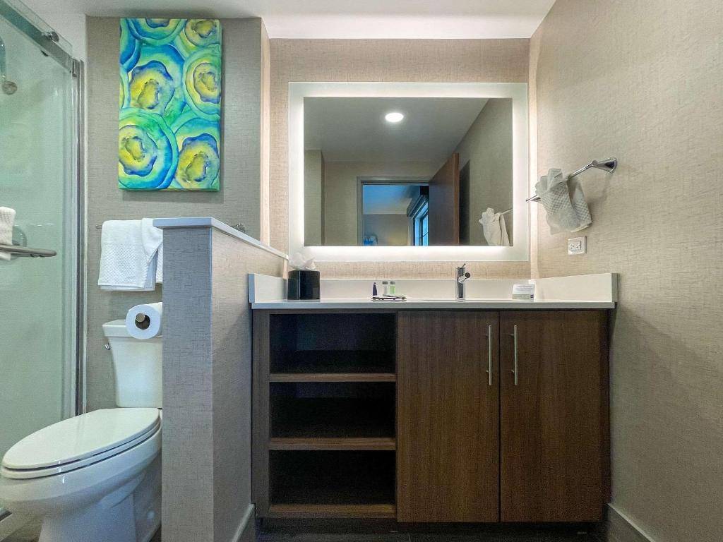 Mainstay Suites Oakbrook Terrace - Chicago