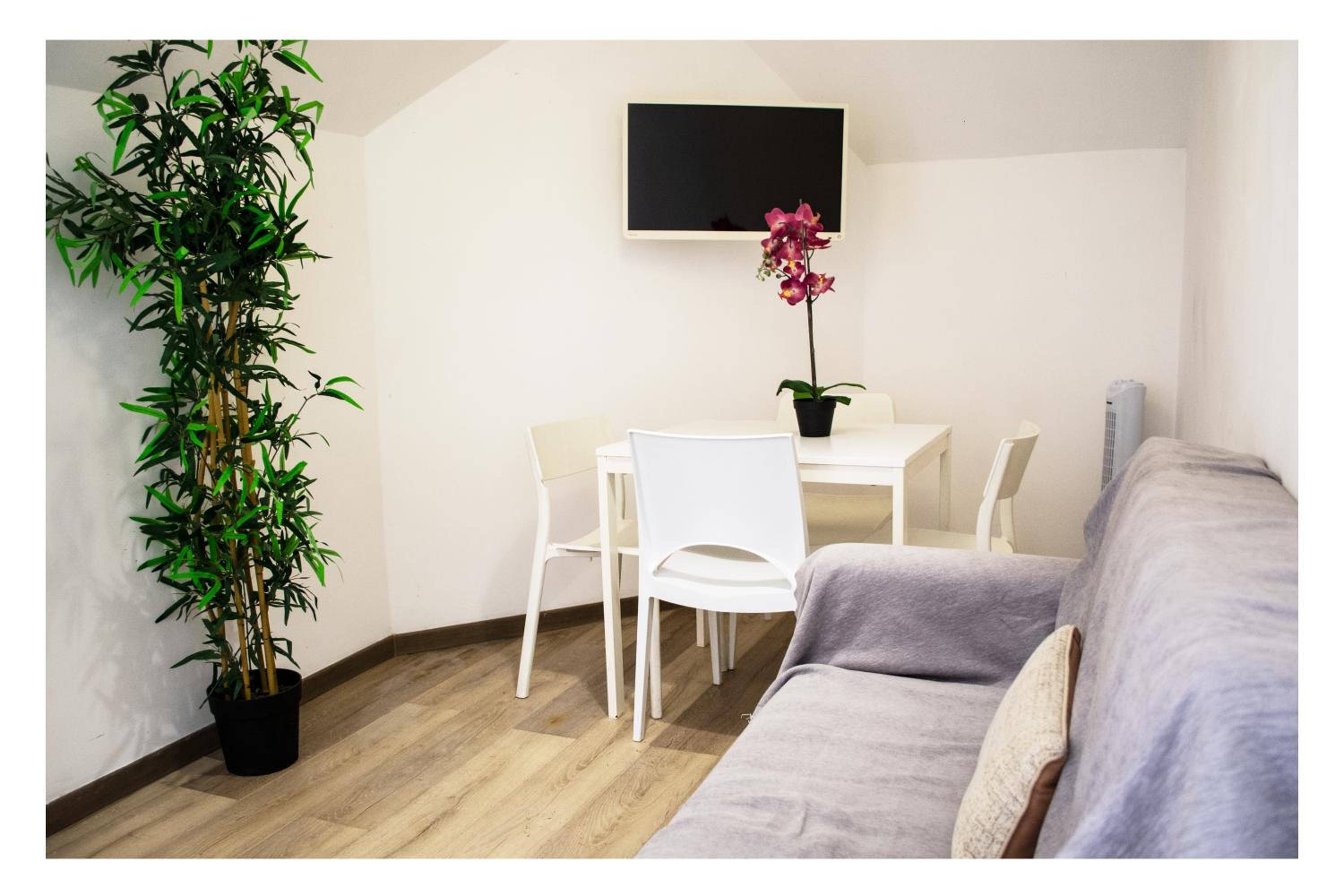 Ostia Holiday Collection