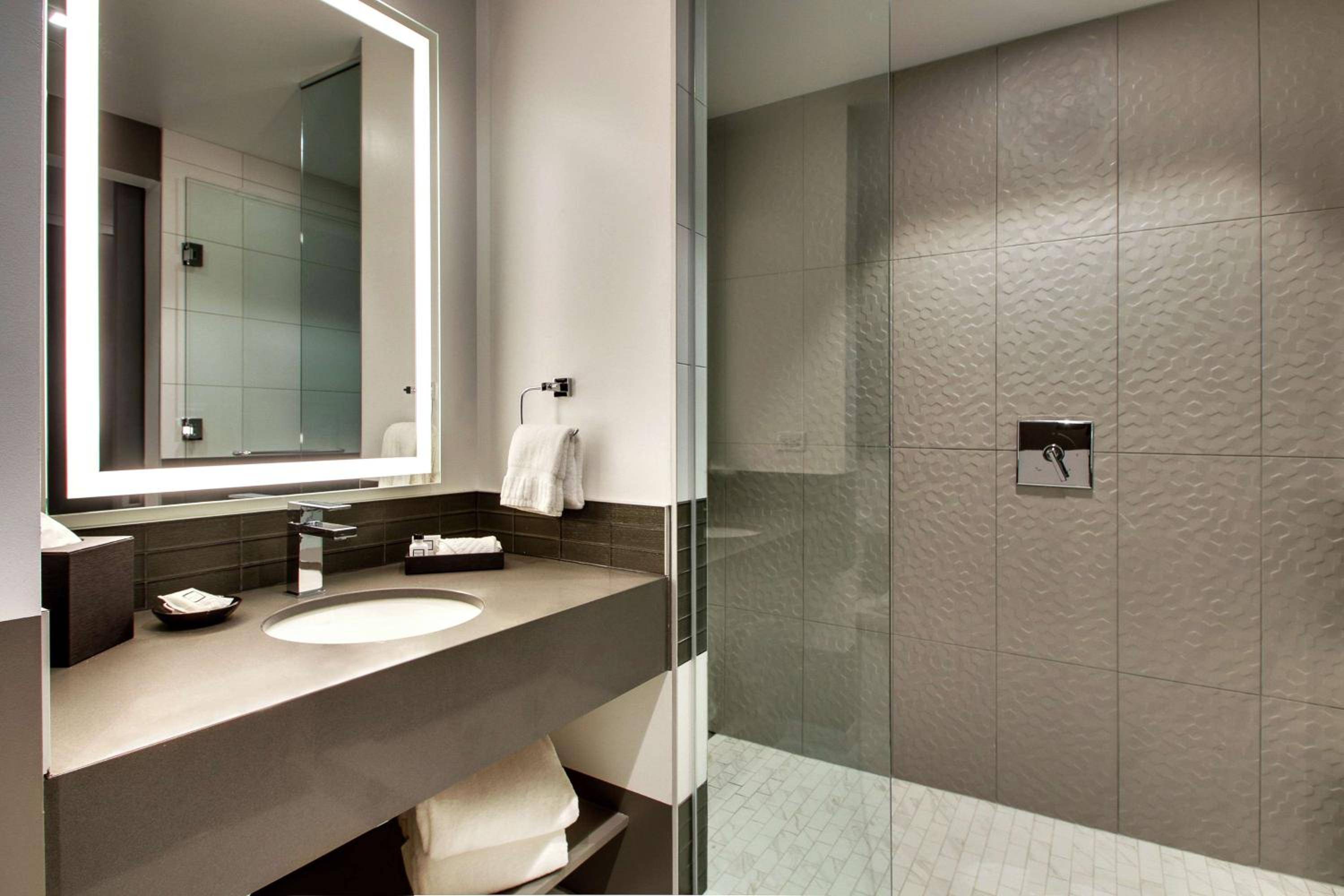 The Rose Hotel Chicago O'hare Tapestry Collection by Hilton