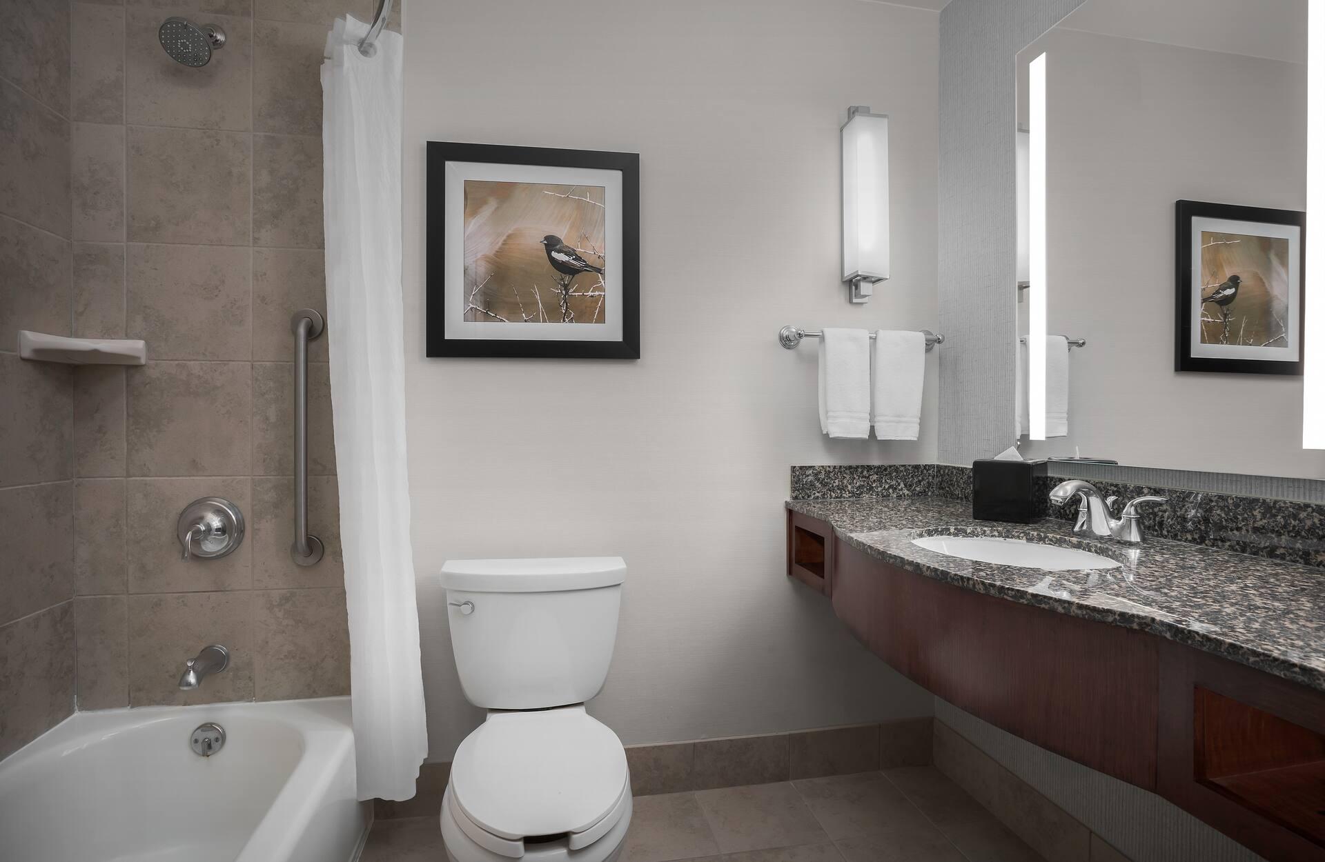 Hilton Garden Inn Denver Downtown