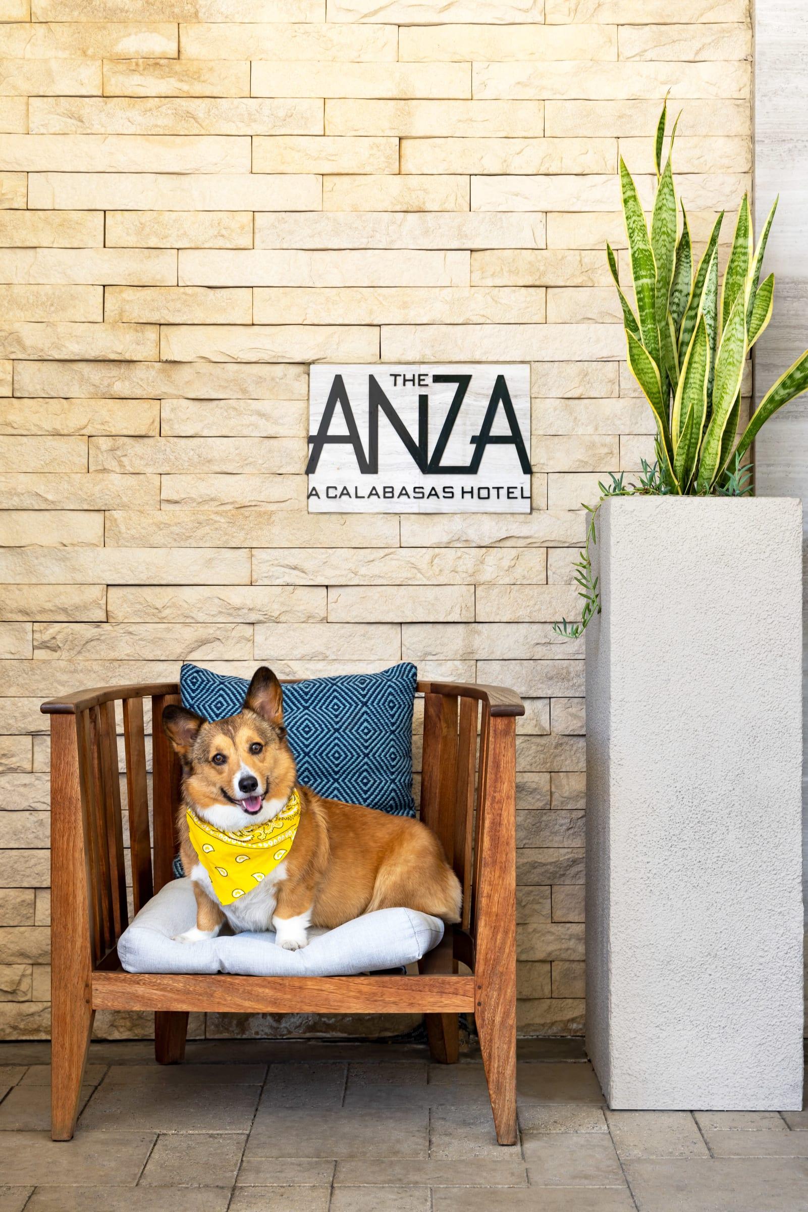 The Anza – a Calabasas Hotel