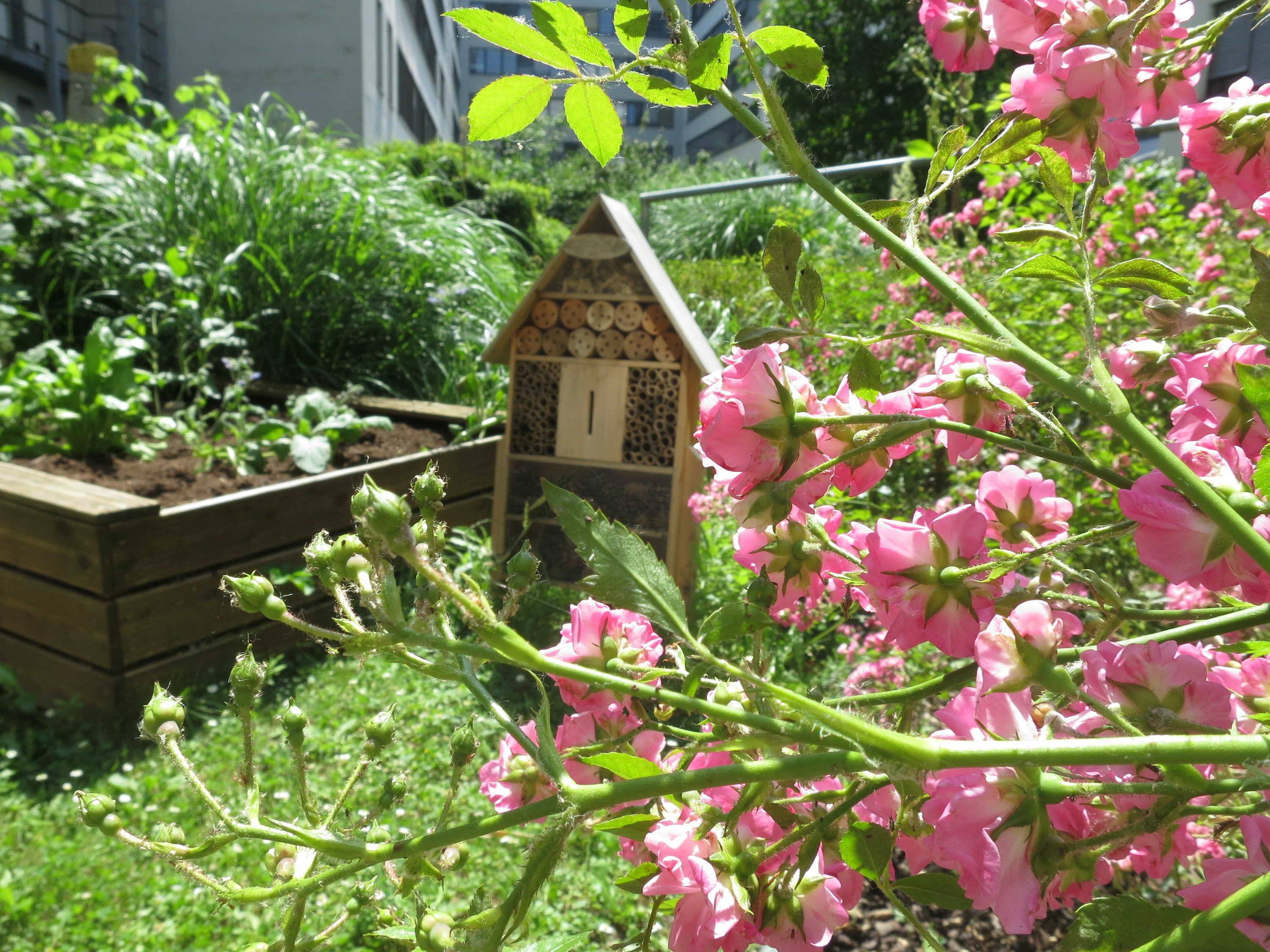 Novotel Suites Wien City Donau