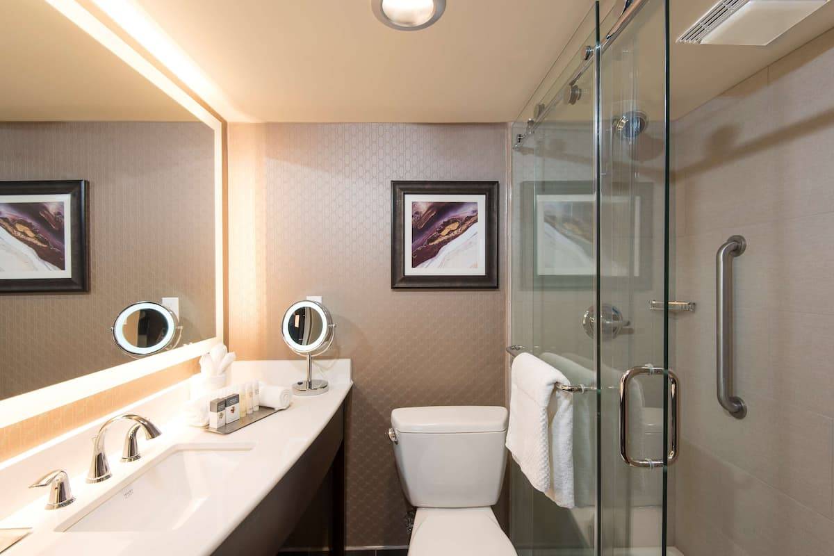 DoubleTree by Hilton Schenectady