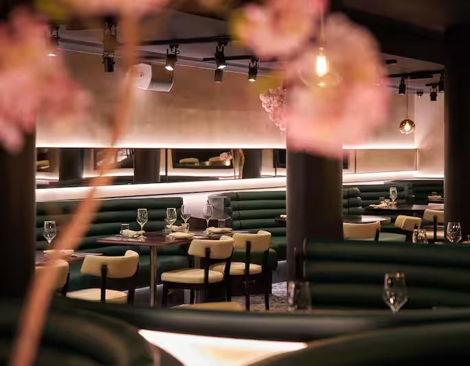 The Westminster London Curio Collection by Hilton