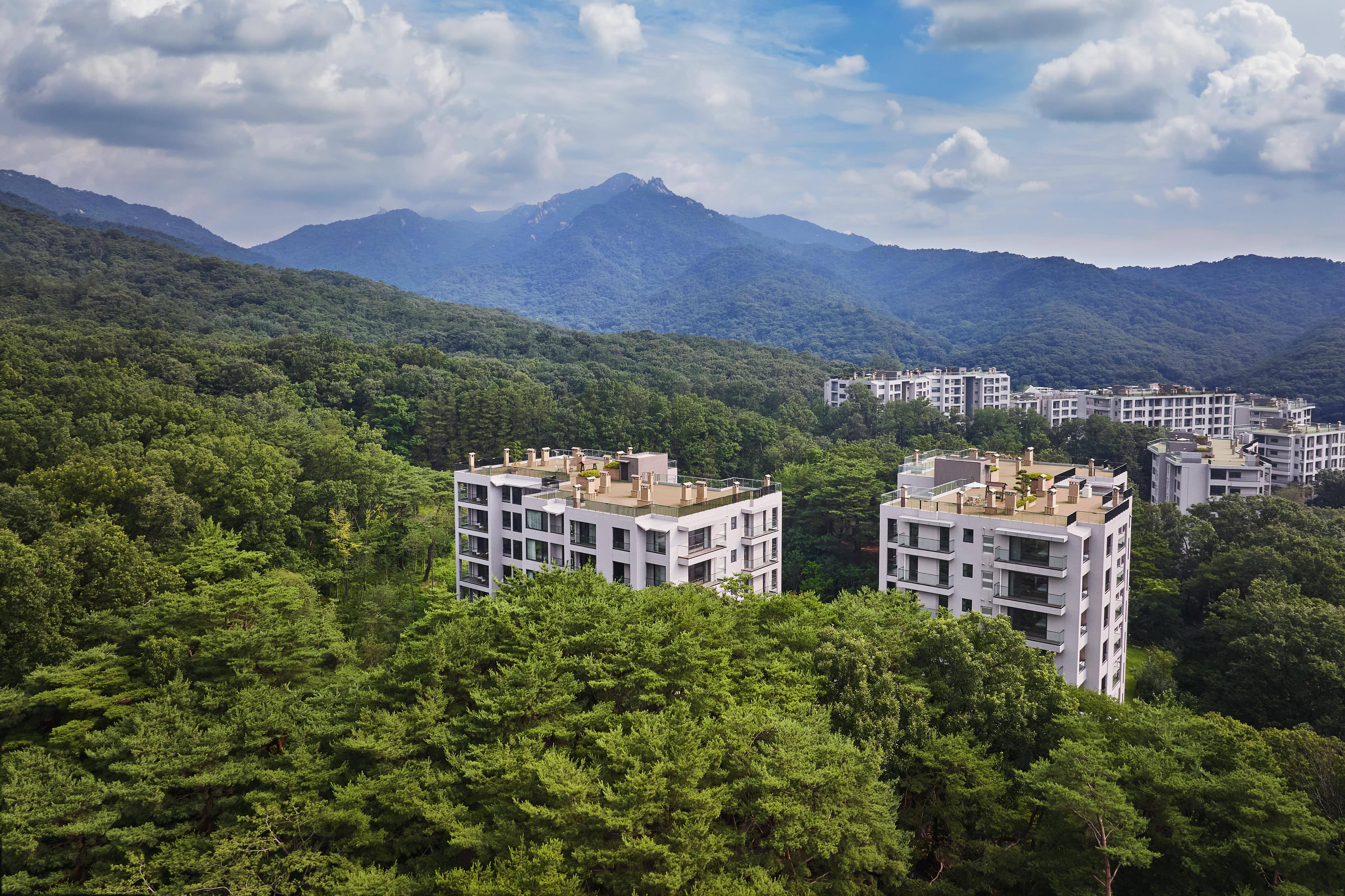 Paraspara Seoul  파라스파라 서울