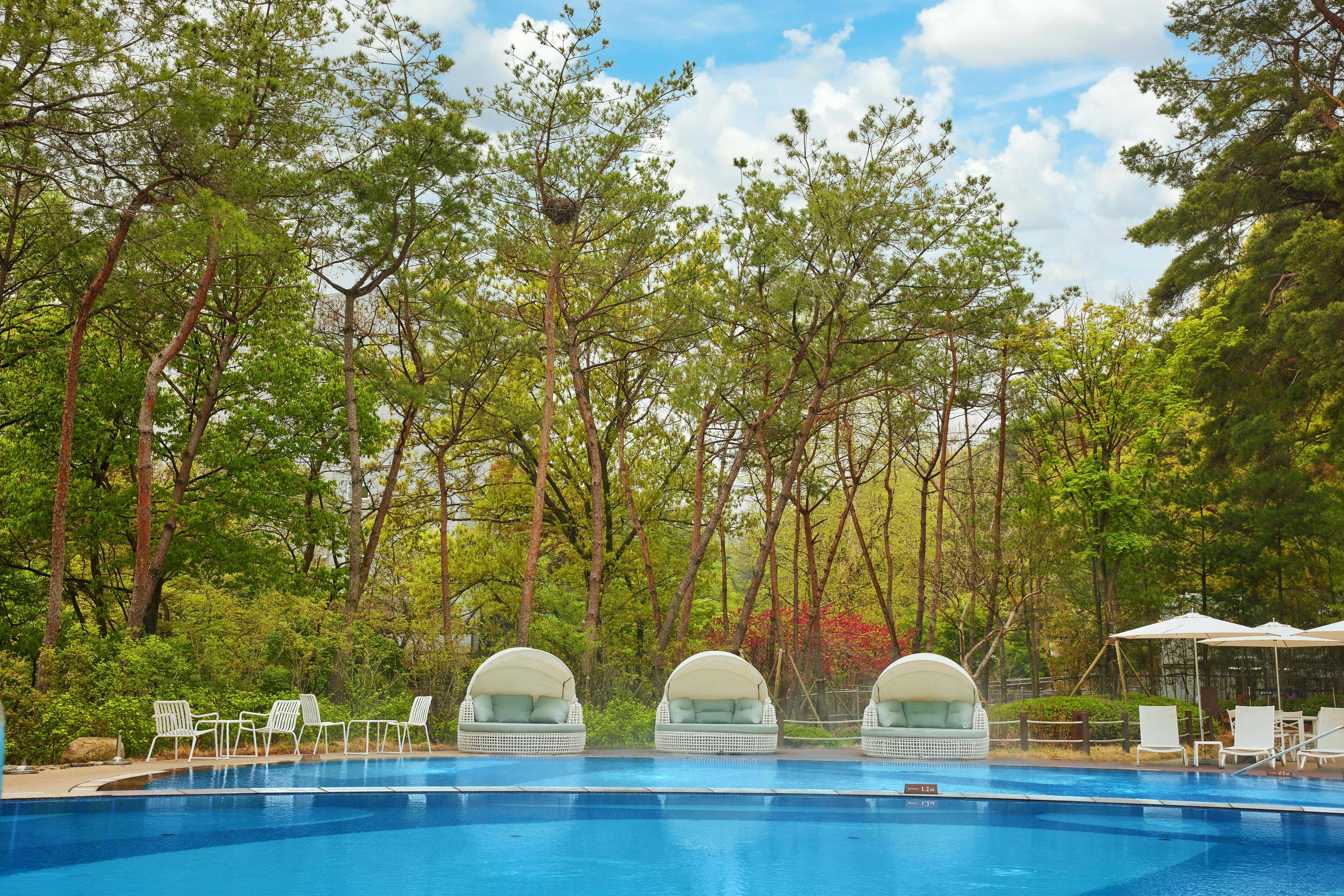 Paraspara Seoul  파라스파라 서울