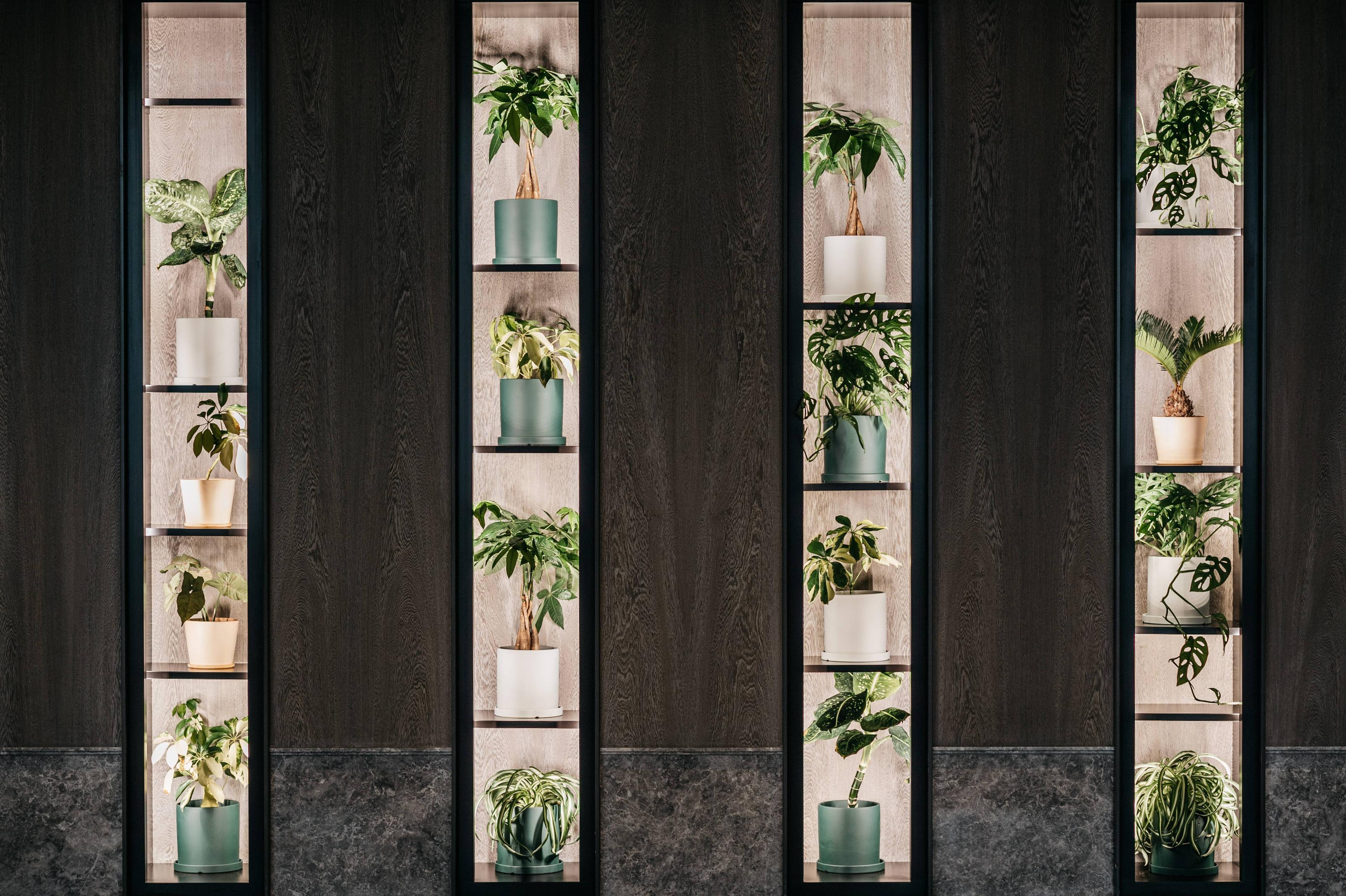 Dao by Dorsett AMTD Singapore