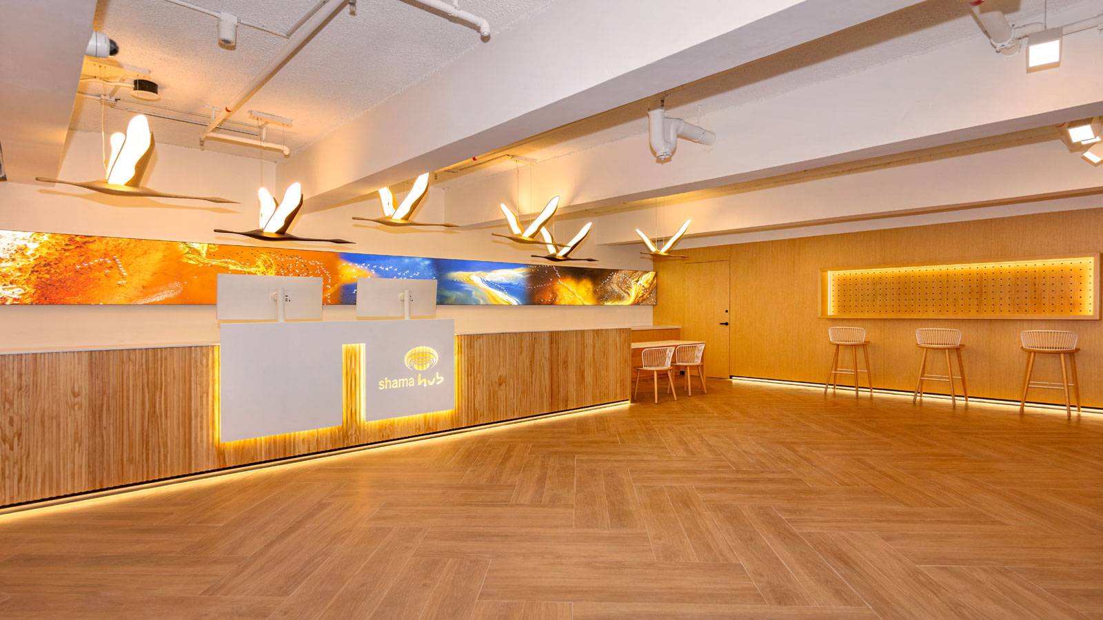 Shama Hub Metro South Hong Kong