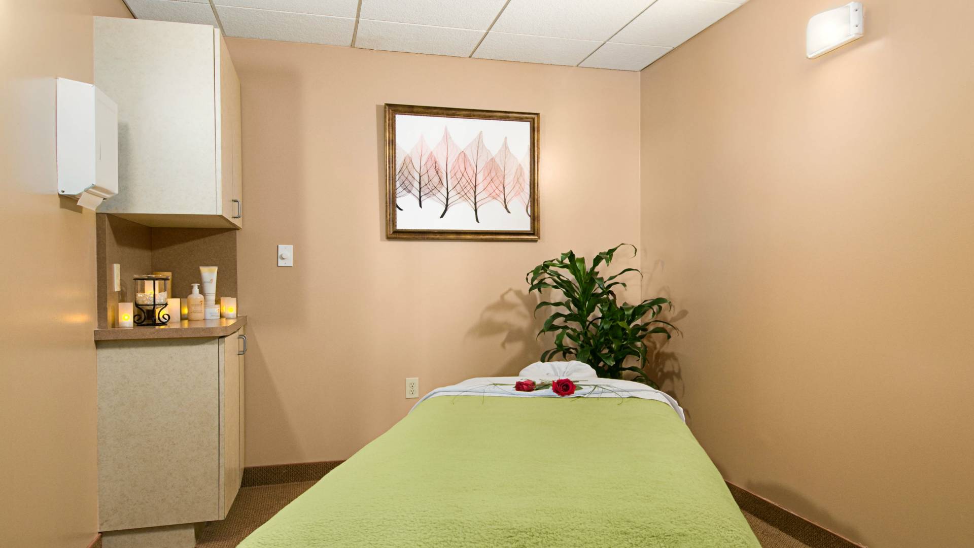 Hilton Phoenix Tapatio Cliffs Resort