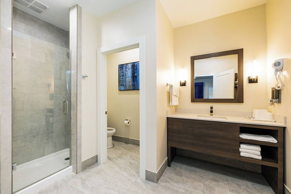 Palace Inn Blue I45 & Edgebrooke