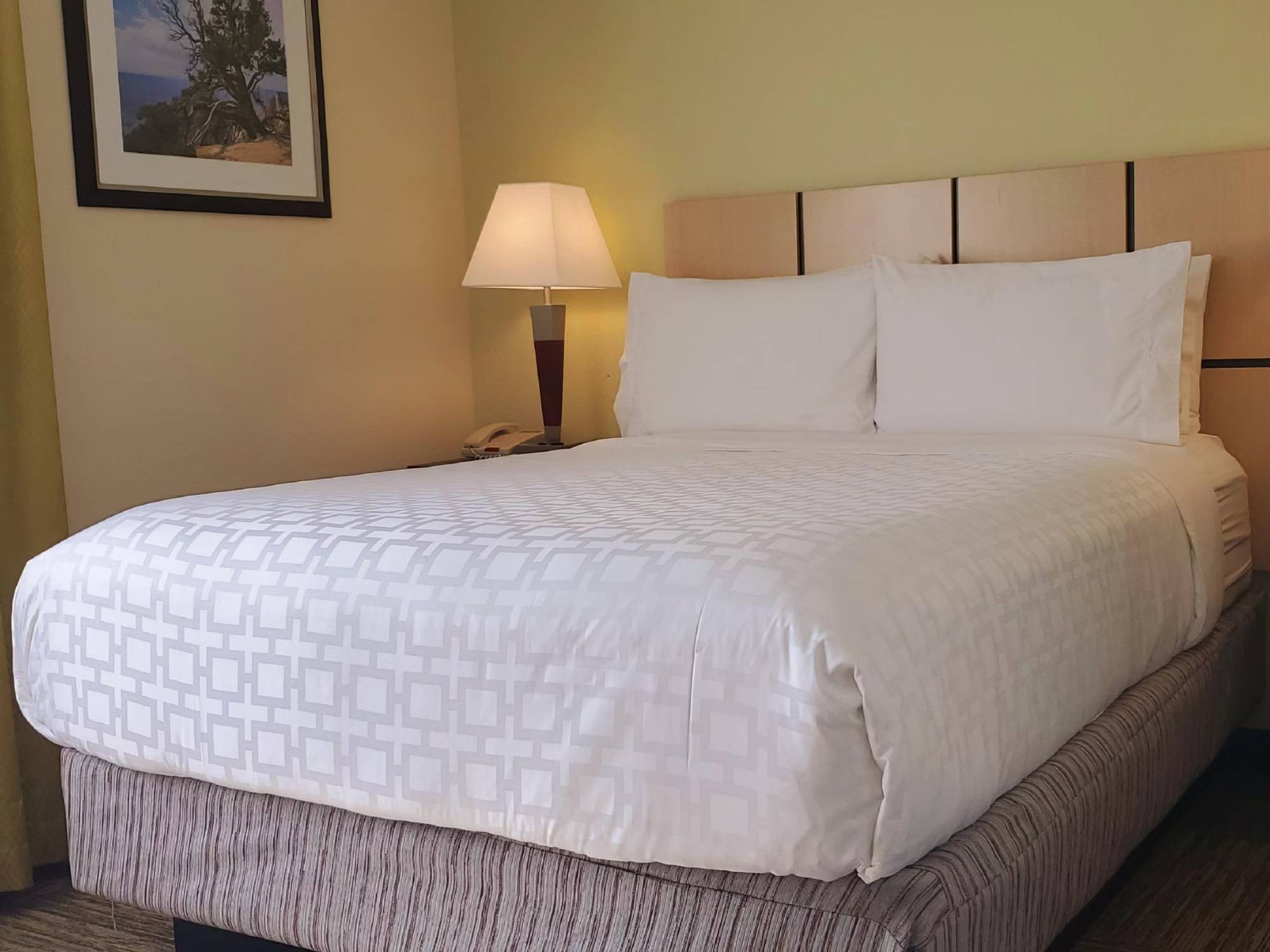 Candlewood Suites Houston Medical Center, an IHG Hotel