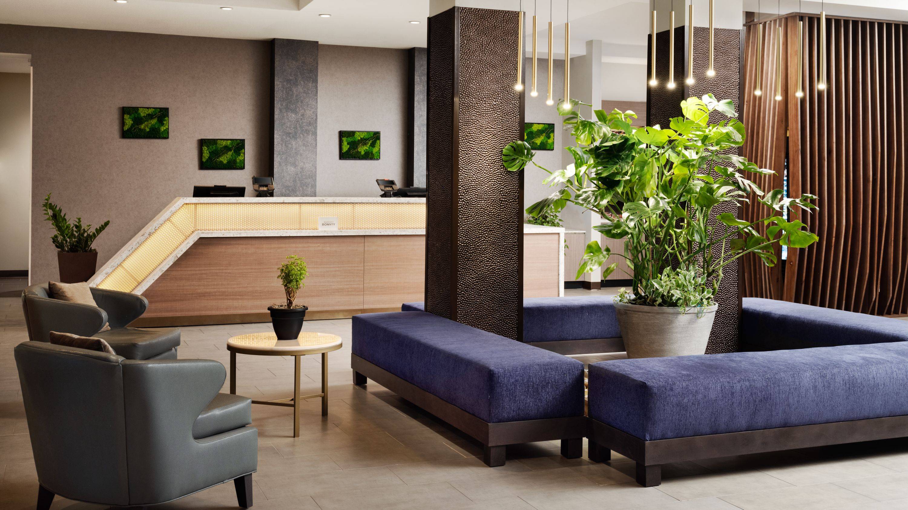 SpringHill Suites by Marriott Milpitas Silicon Valley