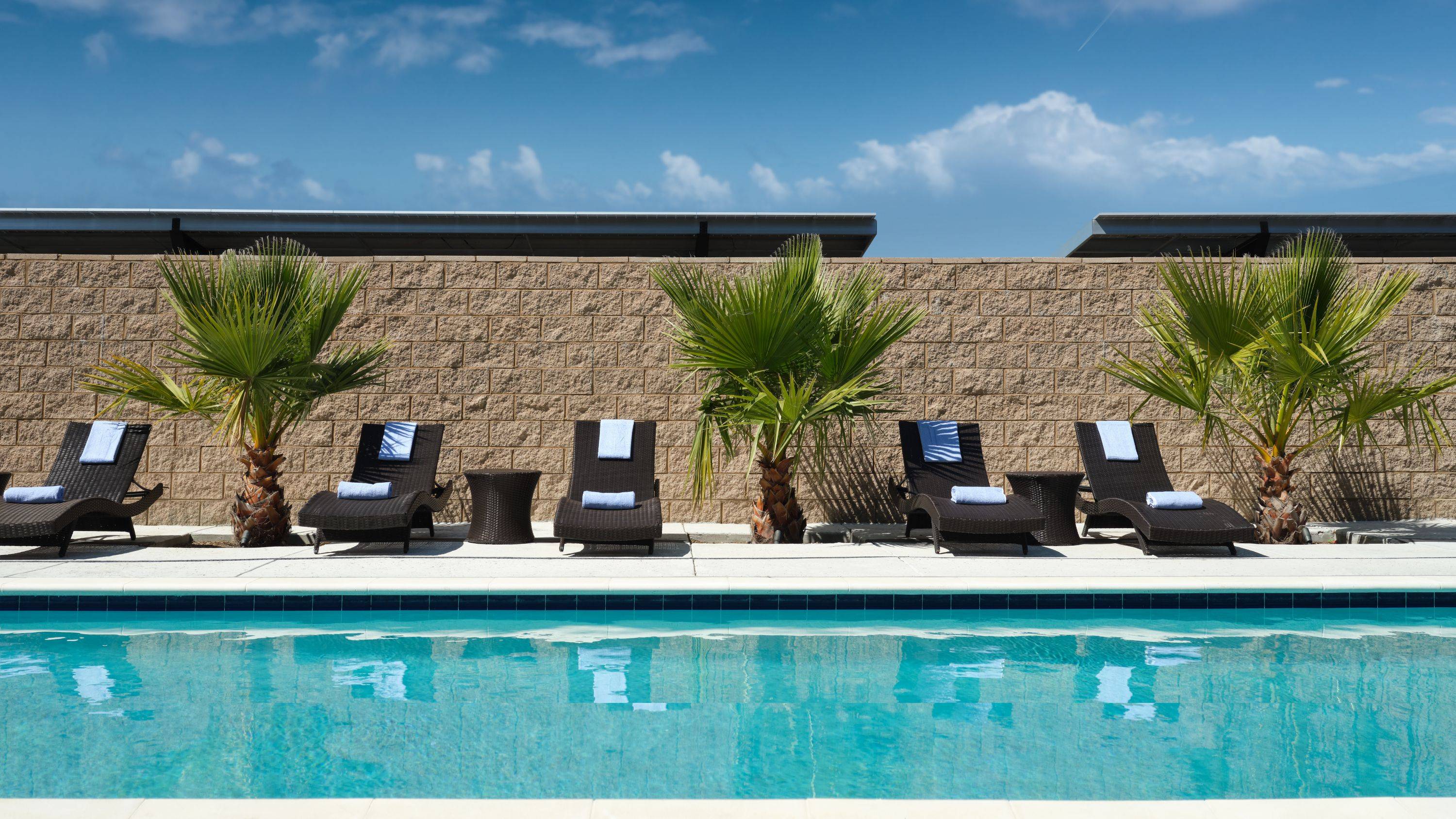 SpringHill Suites by Marriott Milpitas Silicon Valley