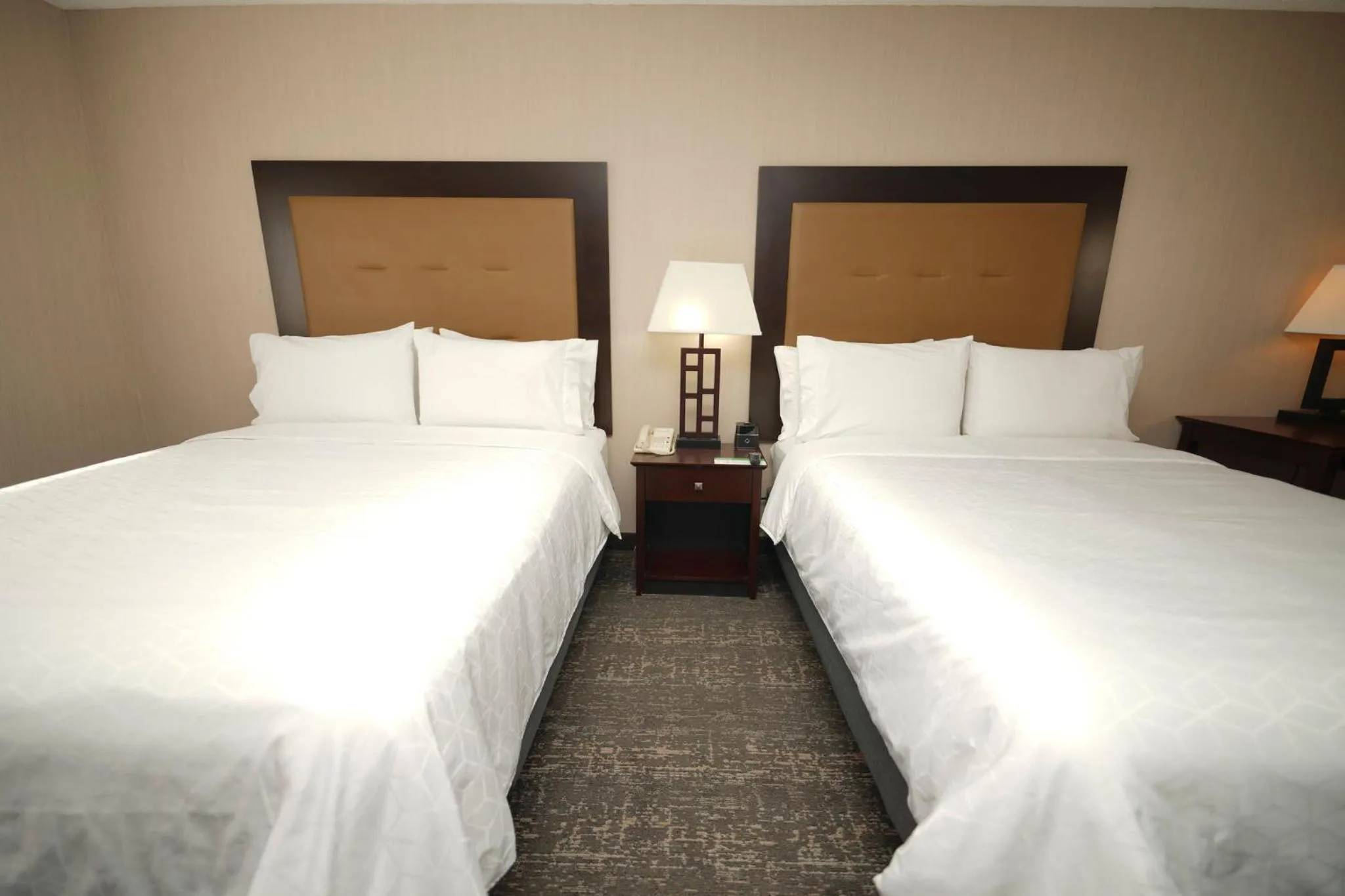 Holiday Inn & Suites Chicago-Carol Stream Wheaton, an IHG Hotel