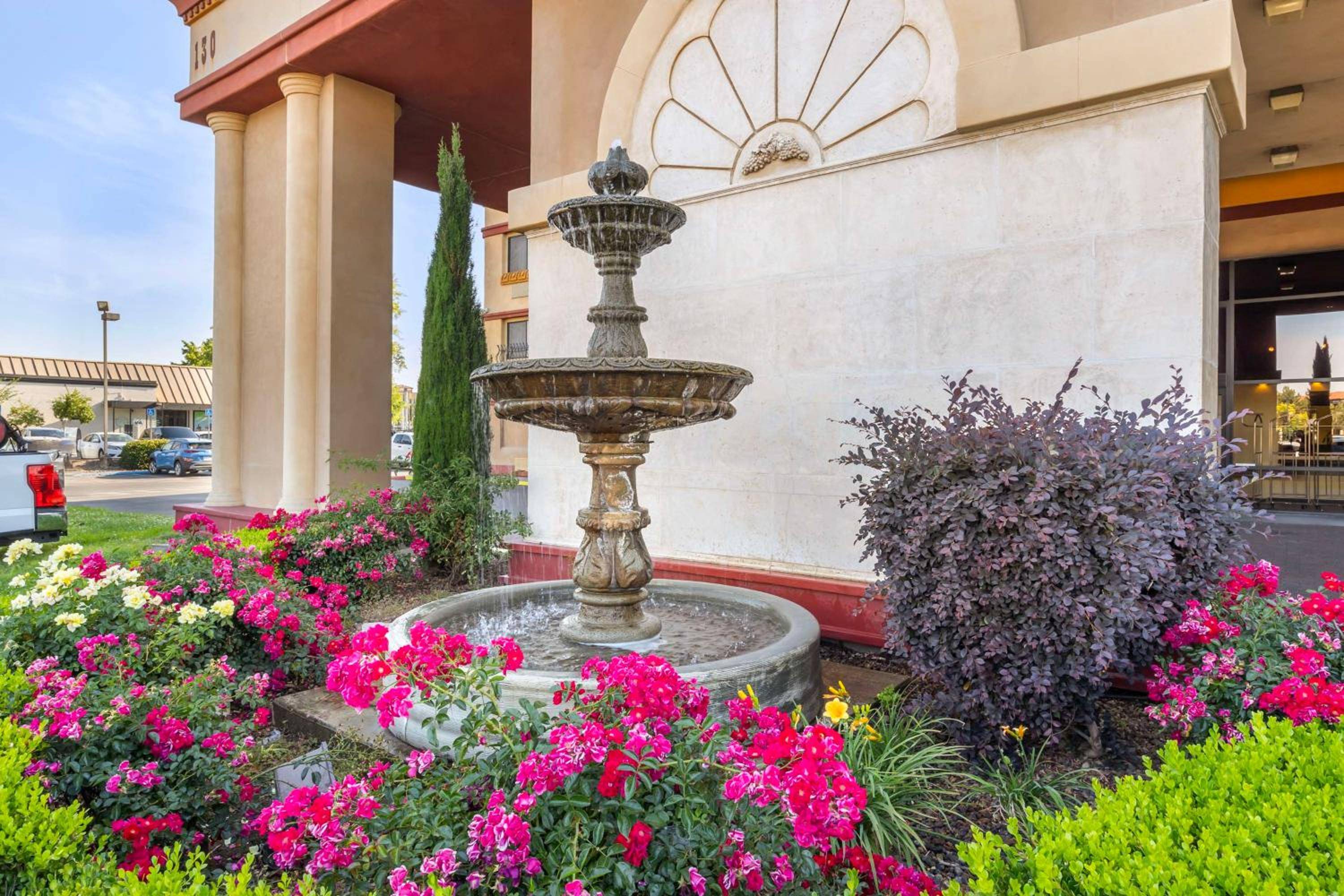 Best Western Plus Orchid Hotel and Suites